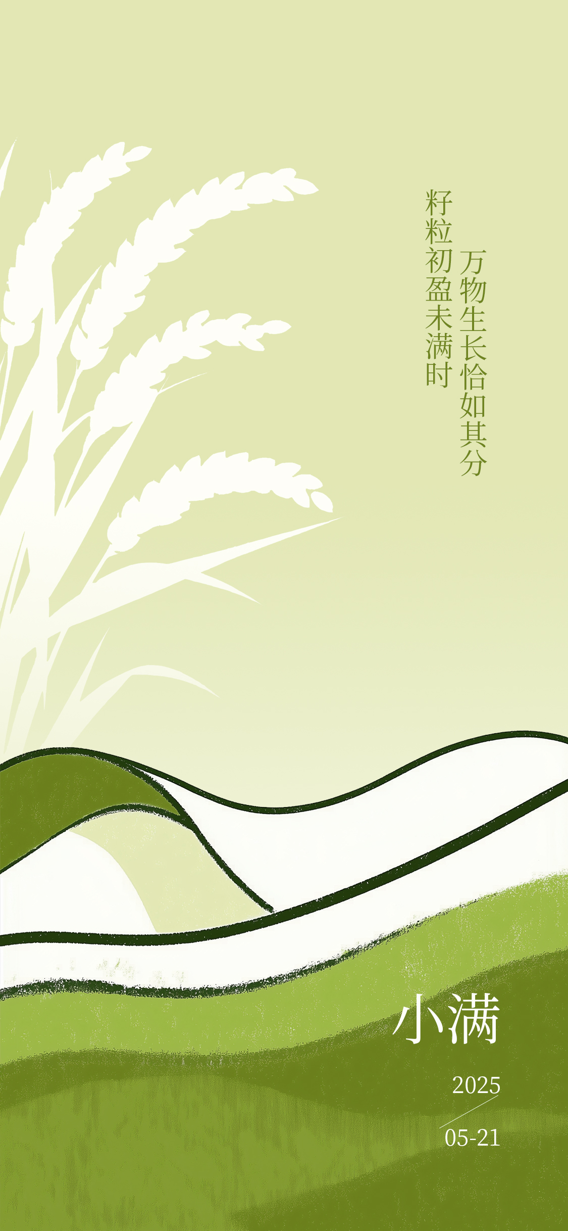 小满芒种节气简约意向海报