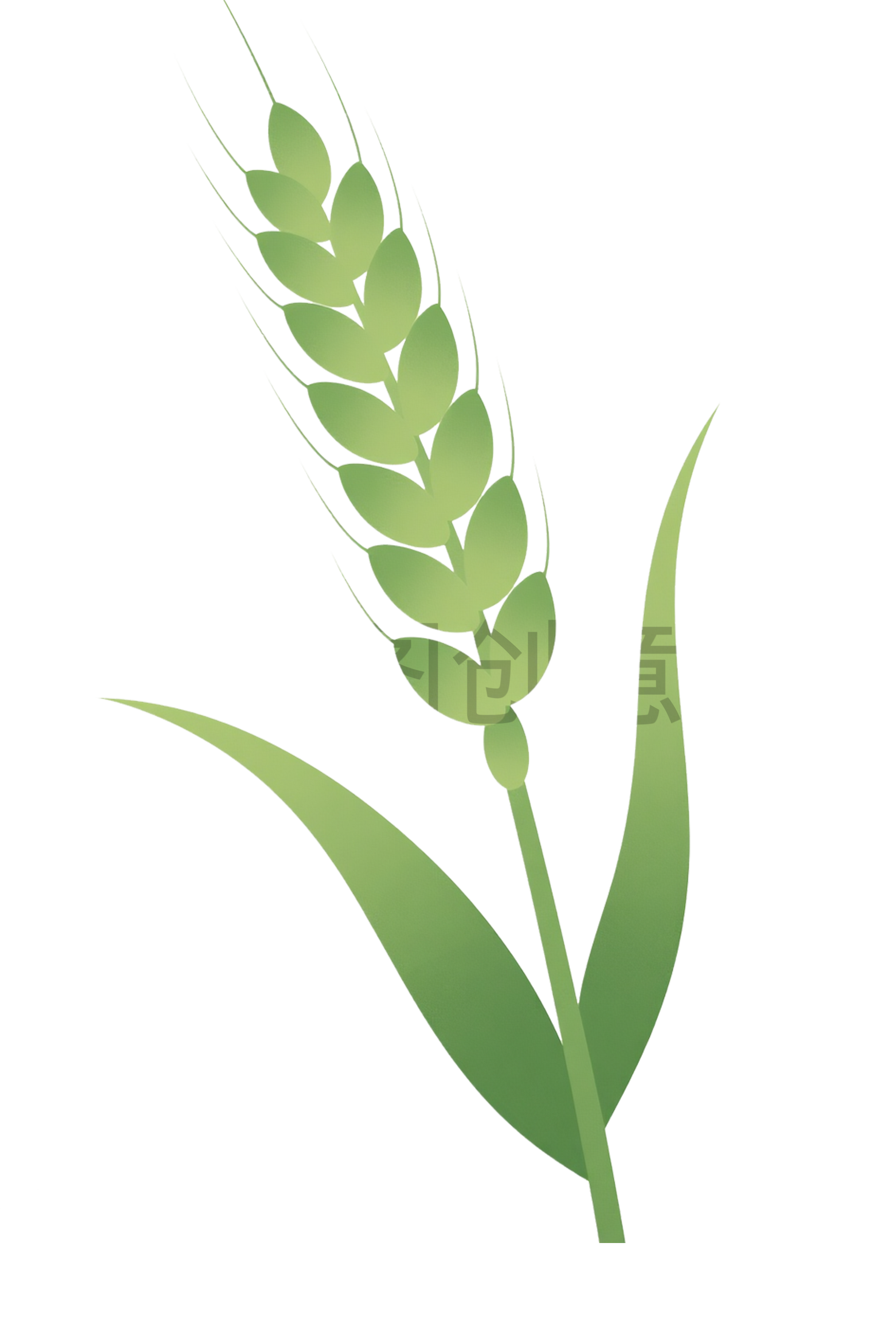 植物绿色麦穗小麦免扣元素