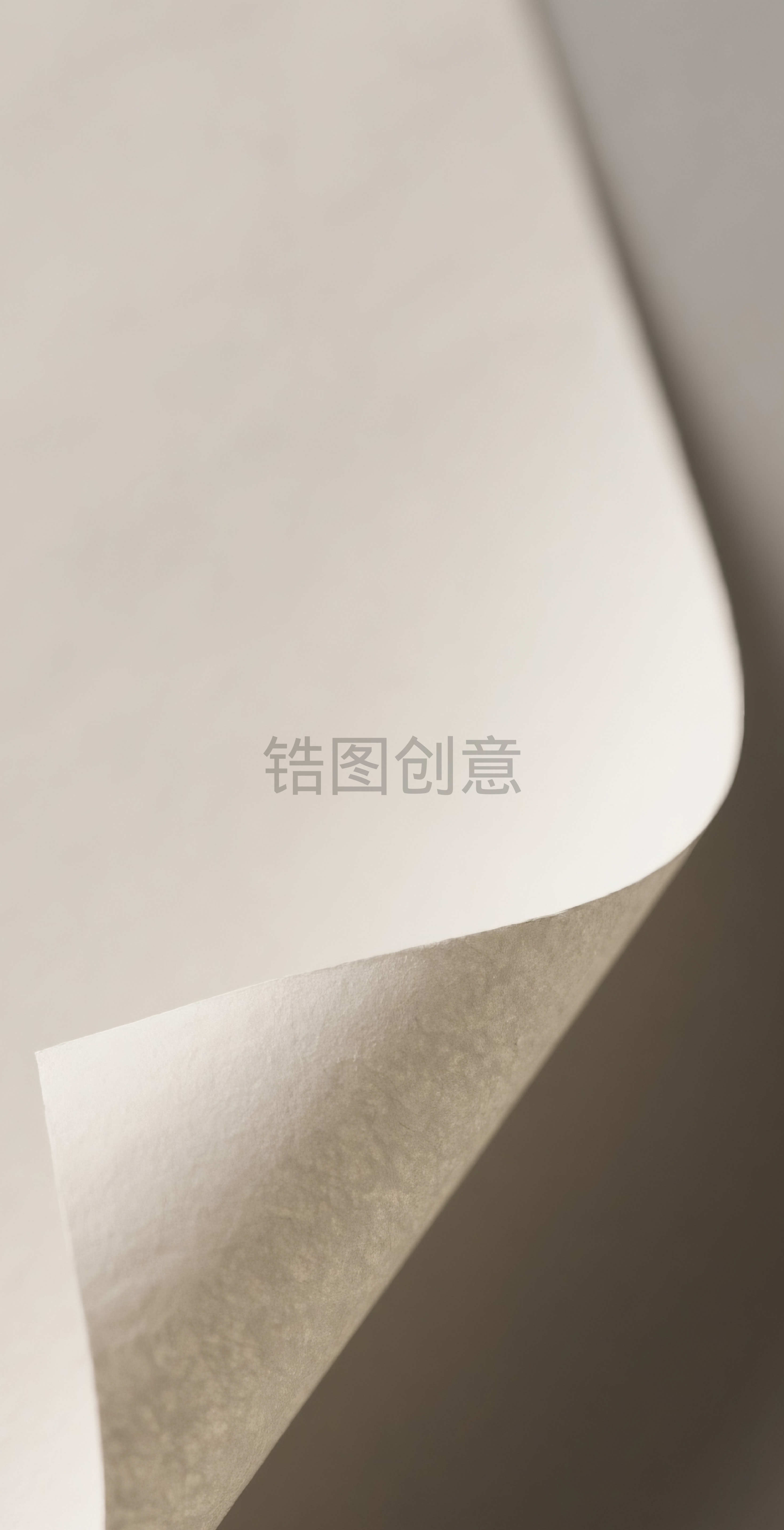 卷纸纸张背景素材
