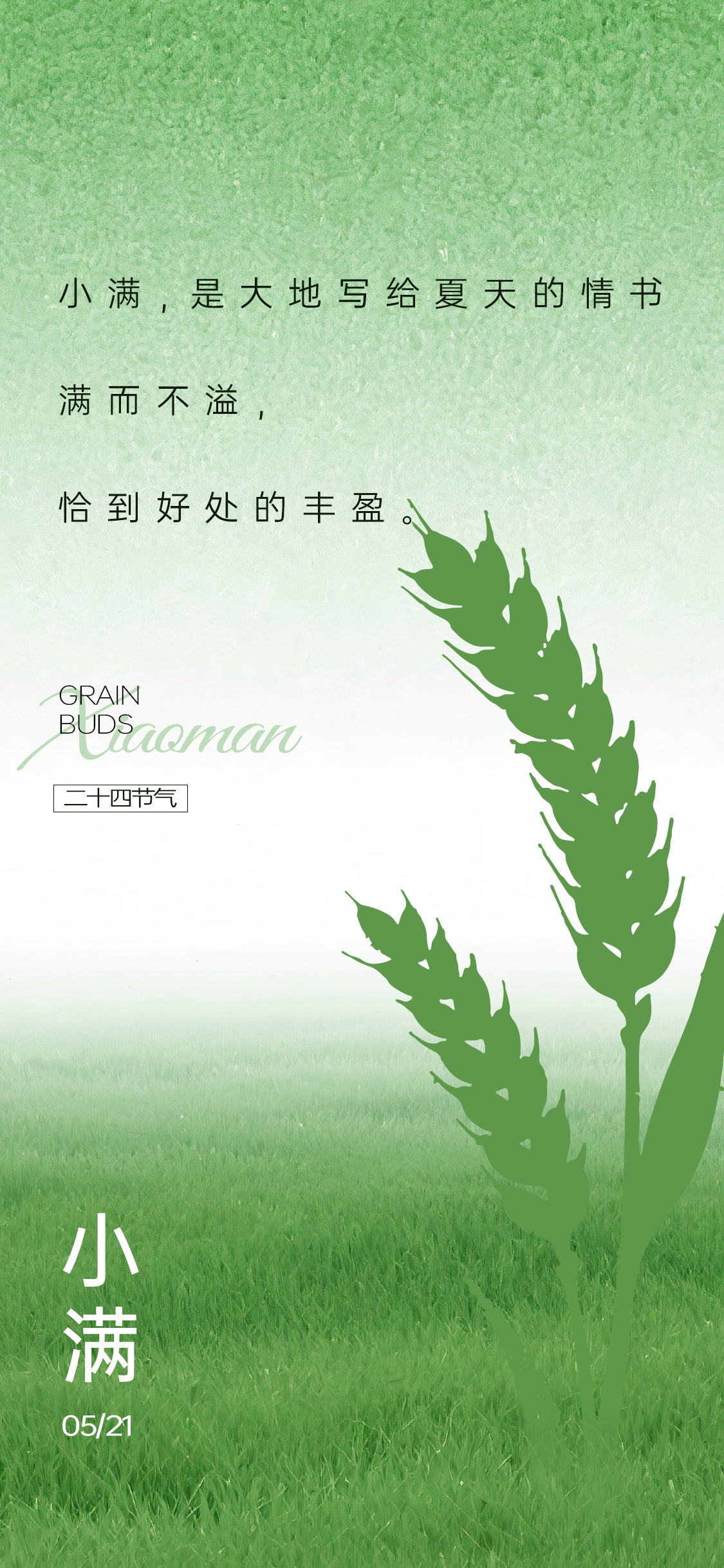小满芒种节气海报