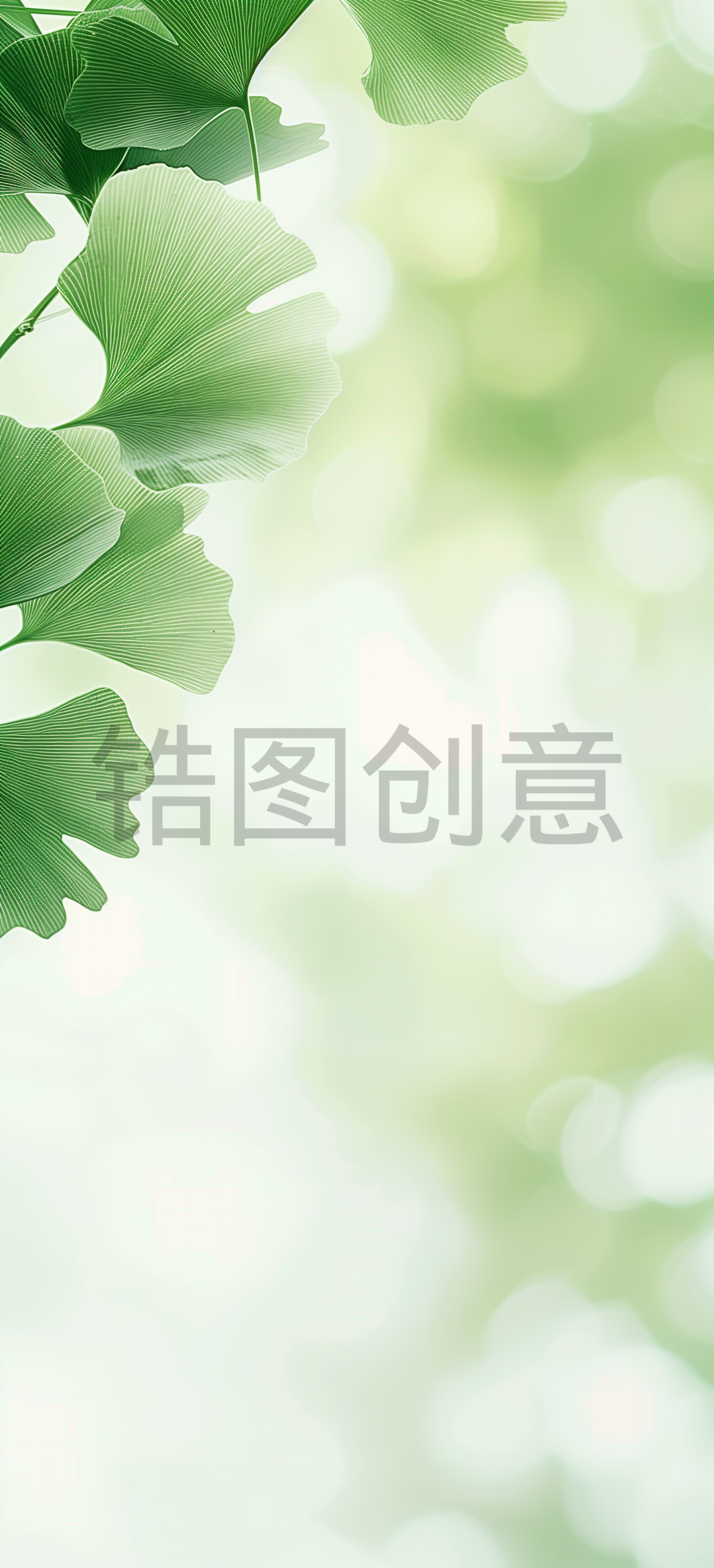 绿色，银杏，光感，背景