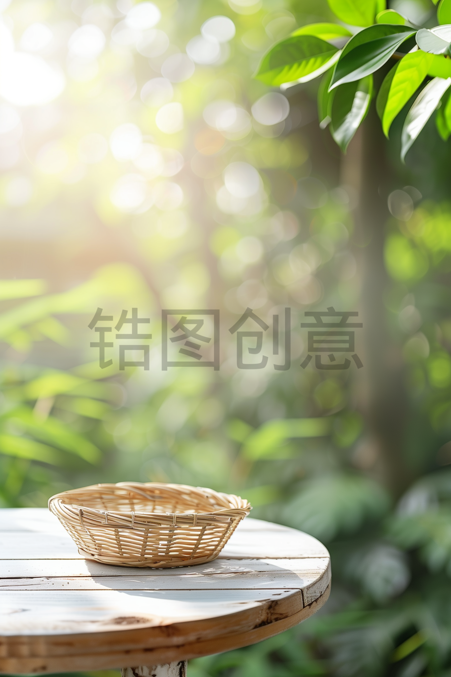 夏天、光影、空篮子、桌子、树