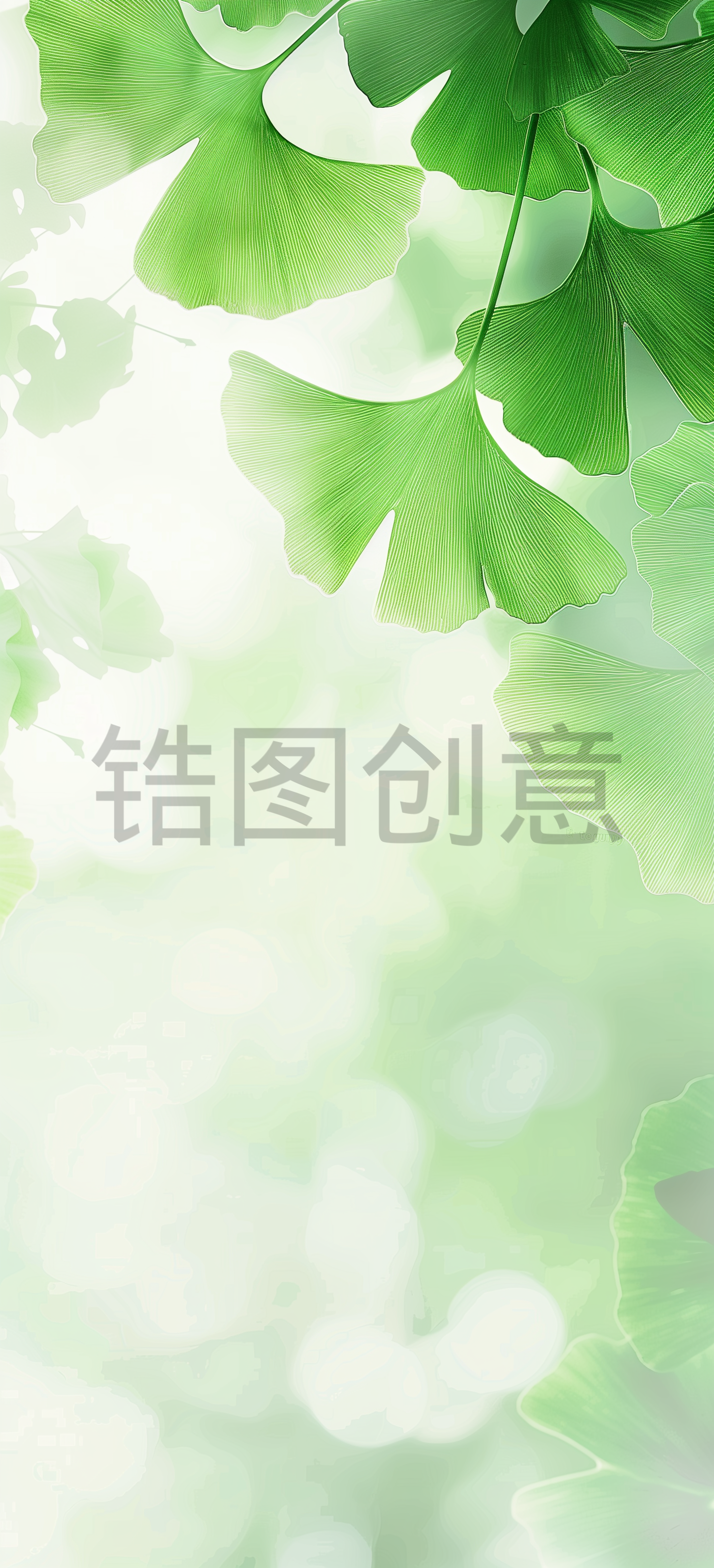 绿色，银杏，光感，背景