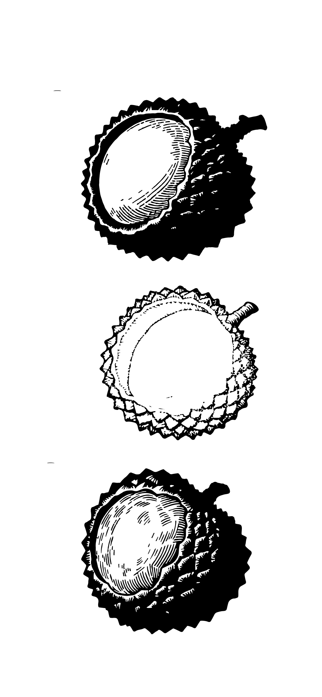 水果荔枝版画线稿元素