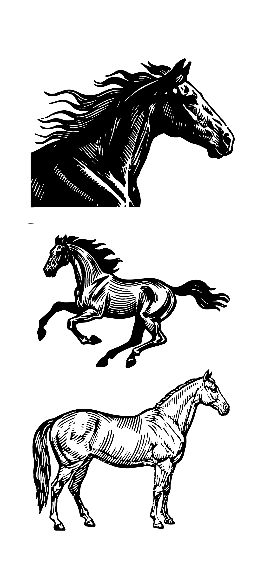骏马版画线稿元素