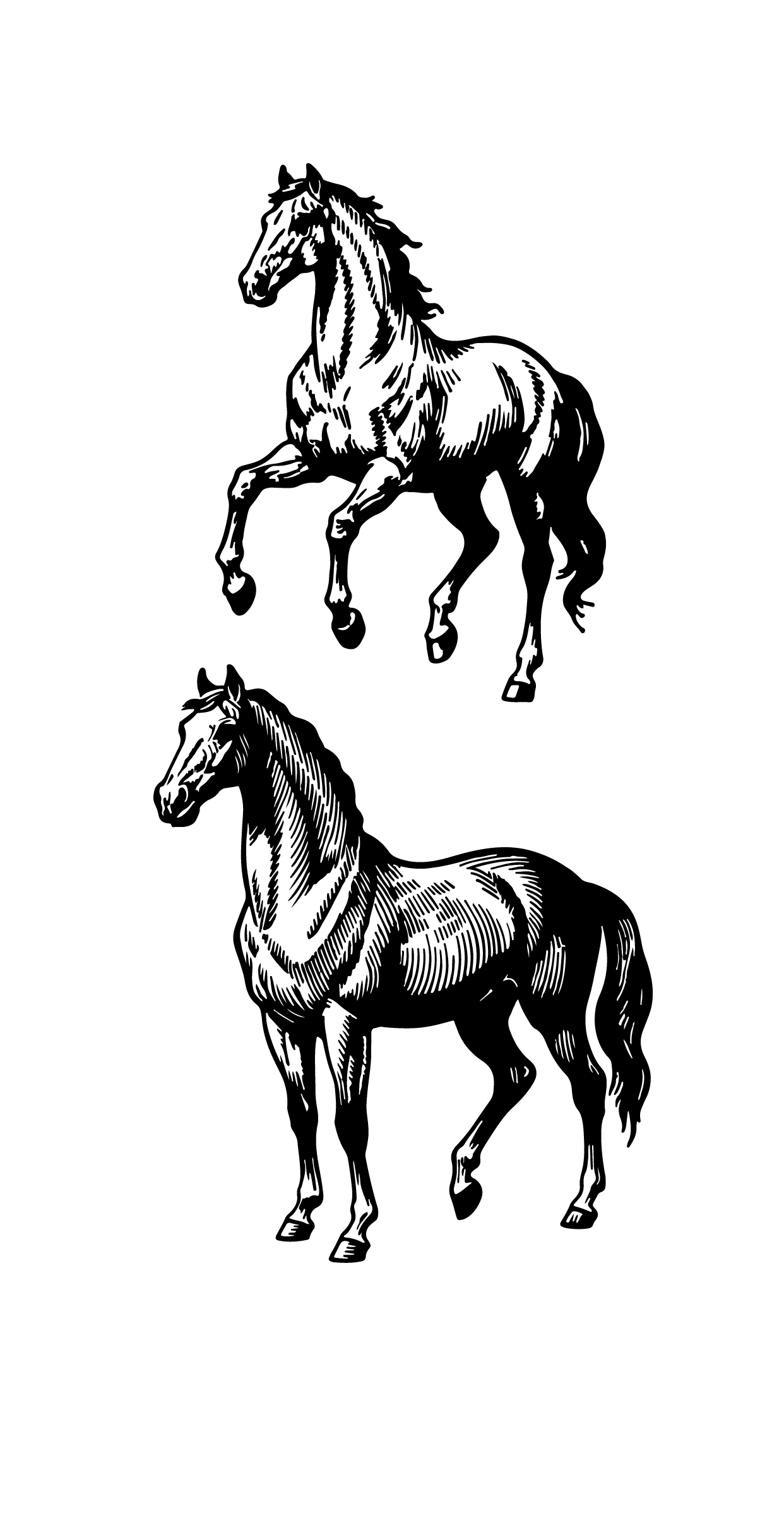 骏马马年版画线稿马元素