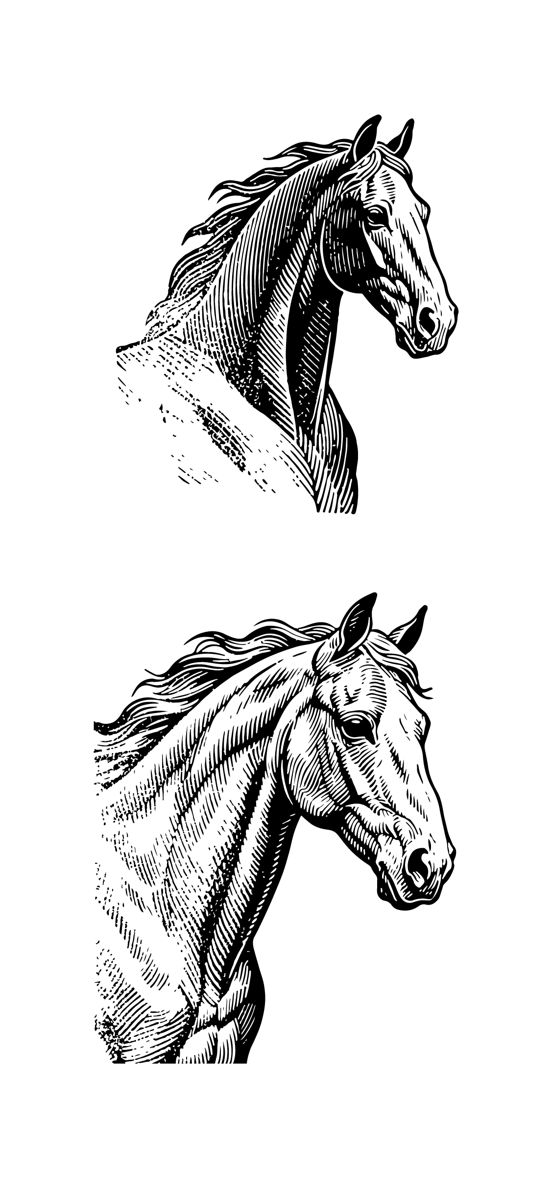 骏马马年版画线稿马元素