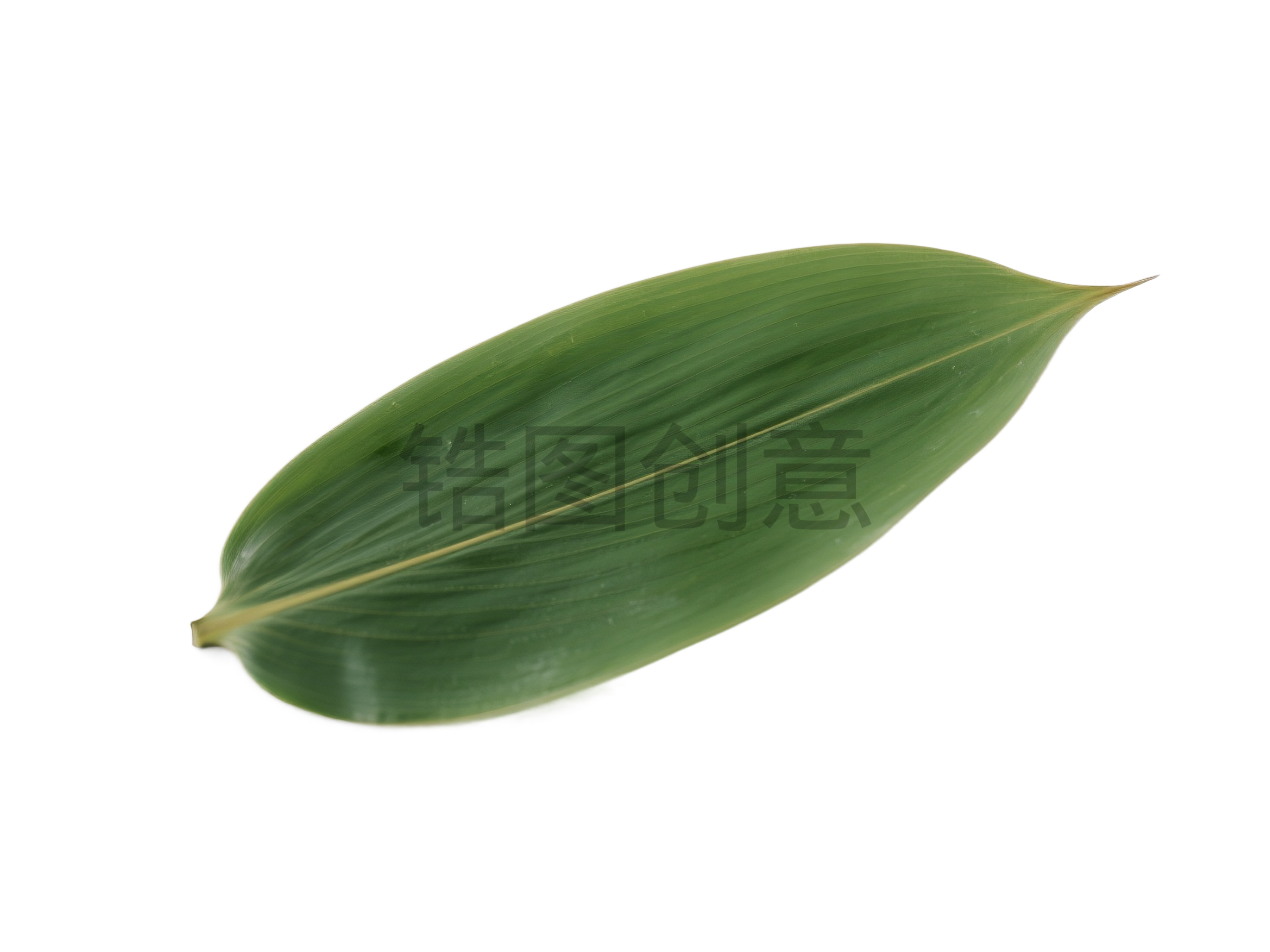 粽子叶元素