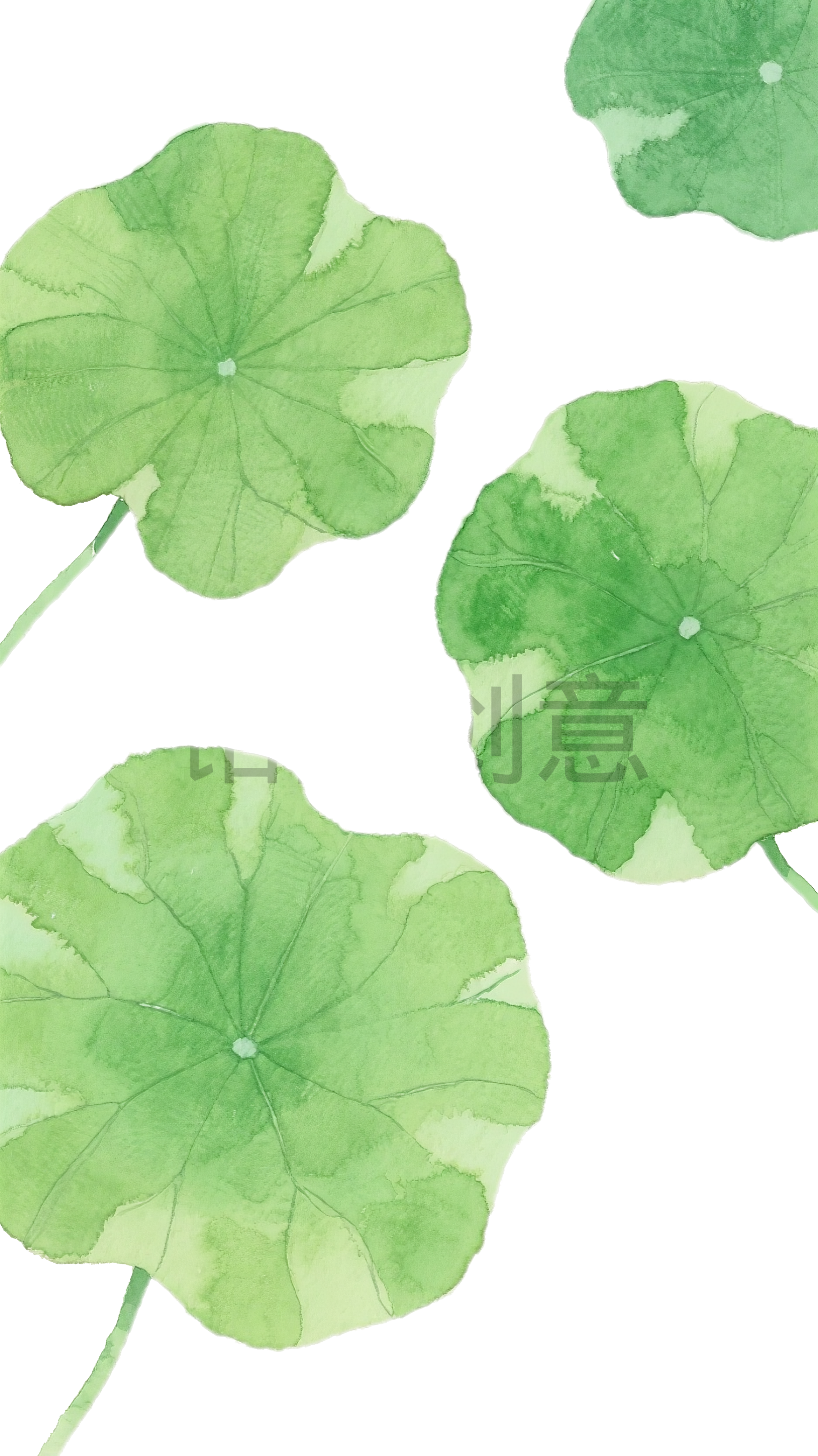水彩风俯视视角荷叶元素