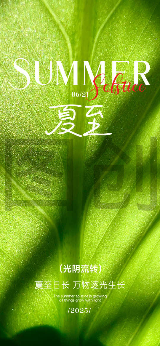 夏至大暑小暑节气海报