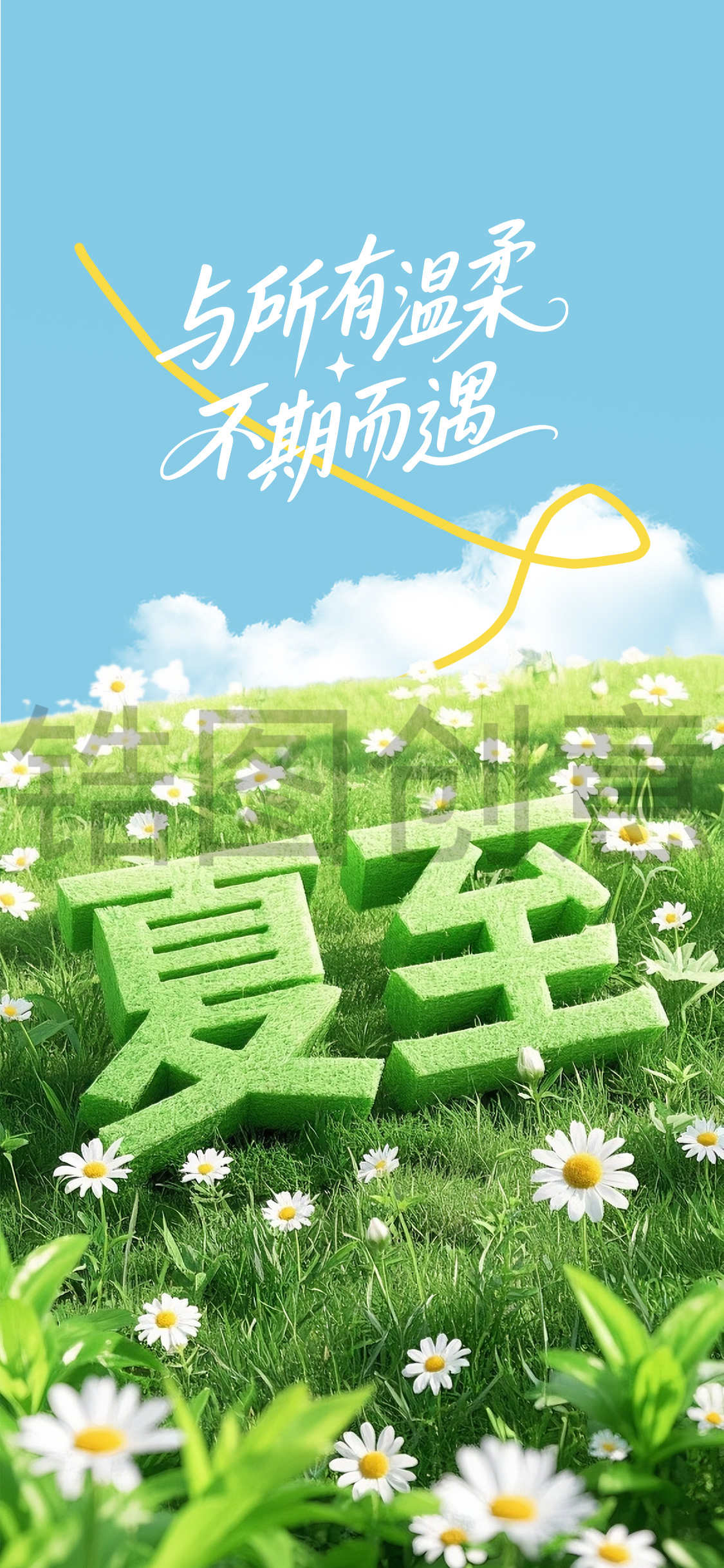 大字夏至节气海报