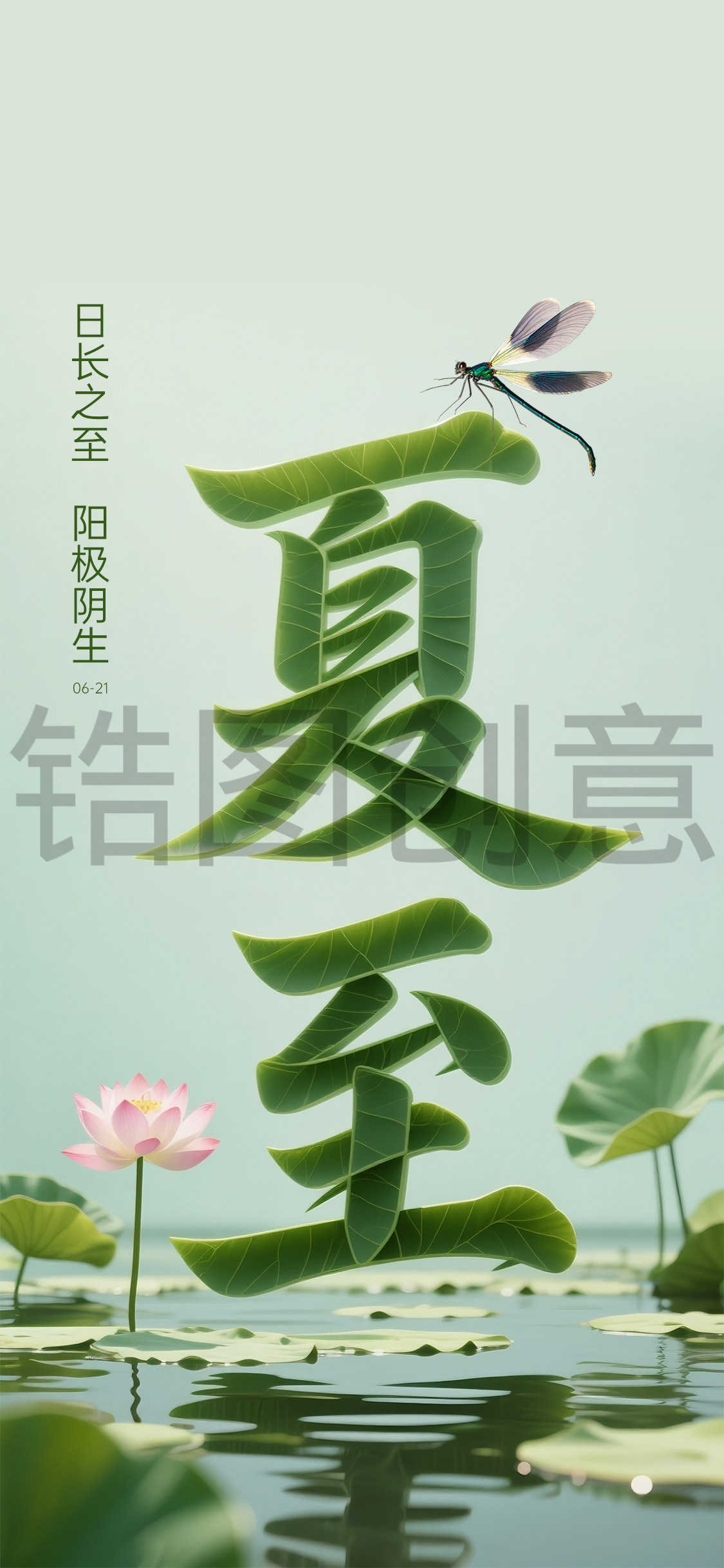 夏至大字节气海报