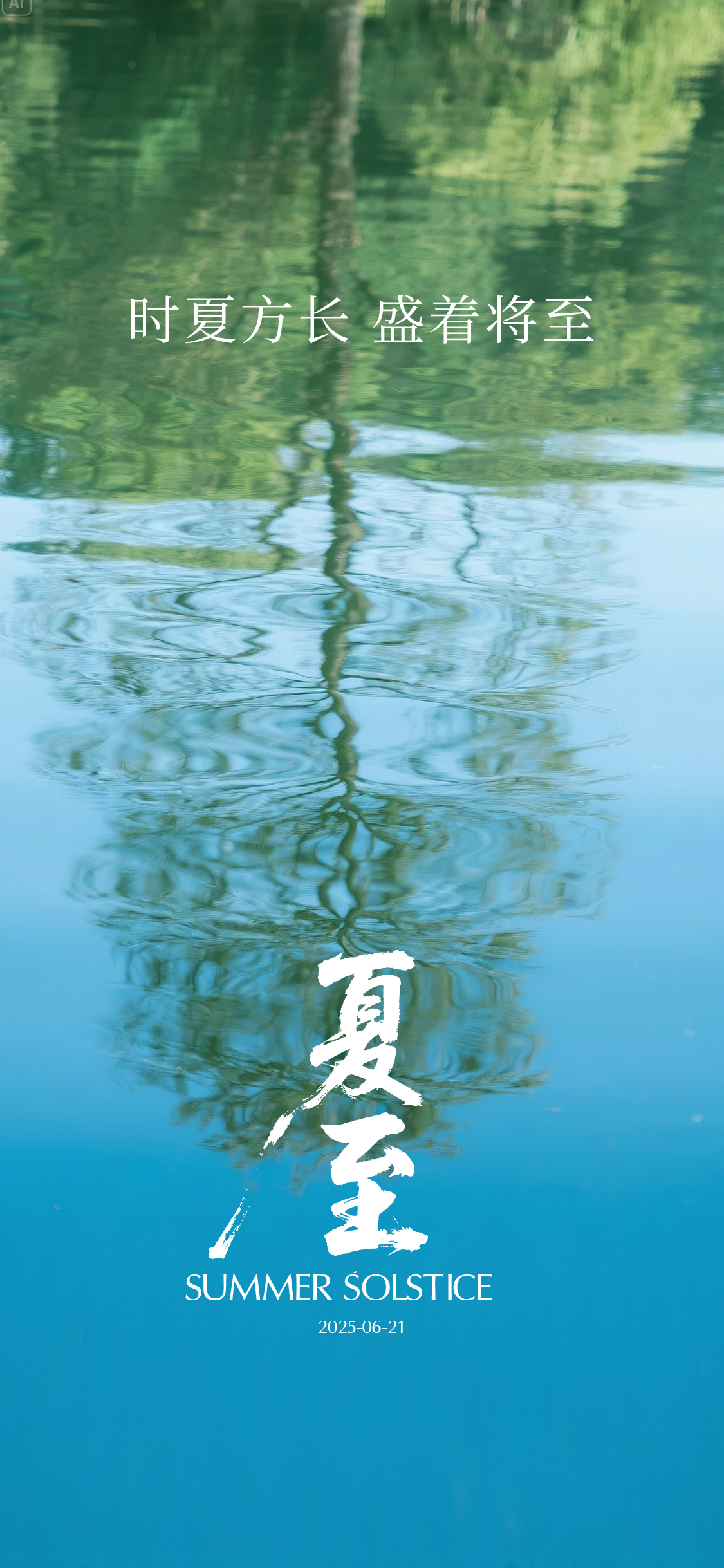 夏至立夏节气海报