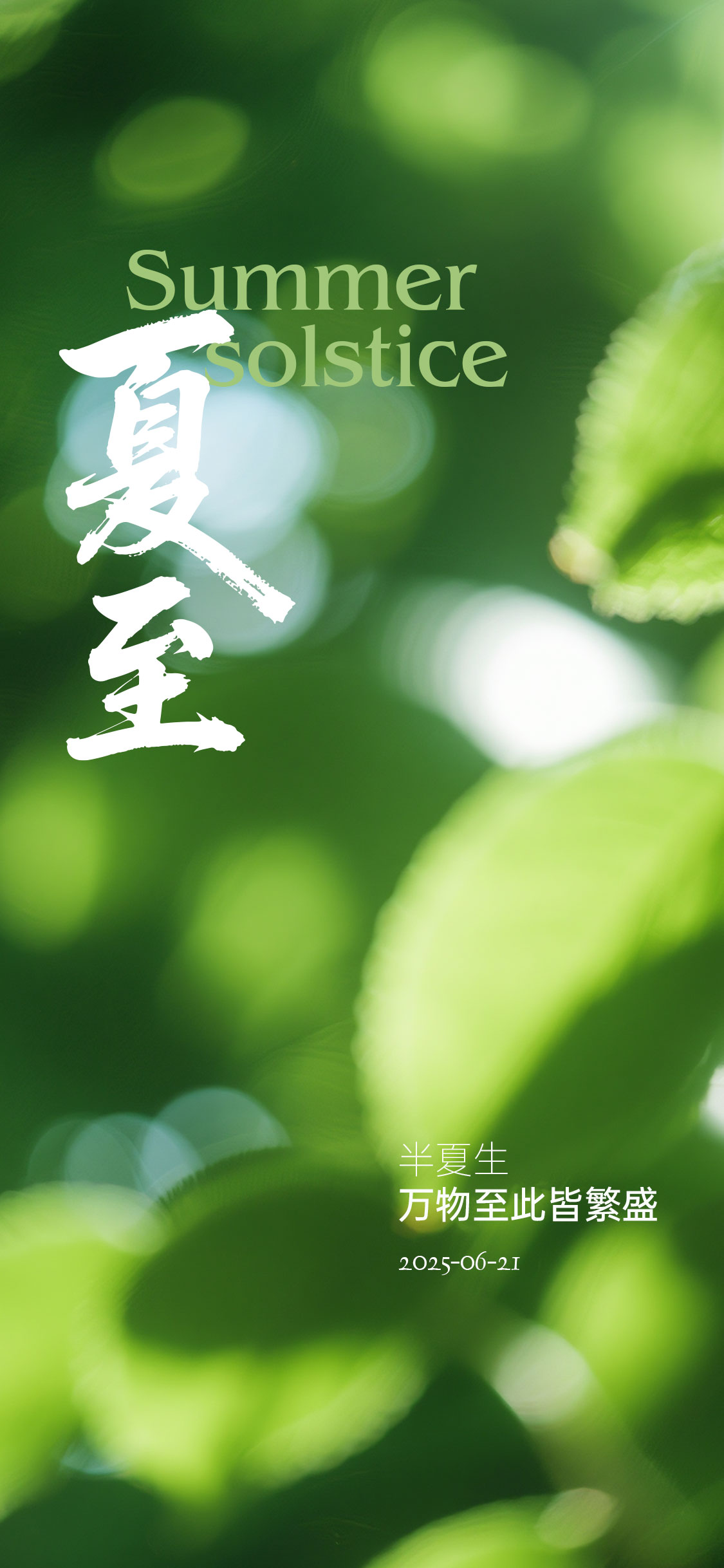 夏至大暑立夏夏日节气海报