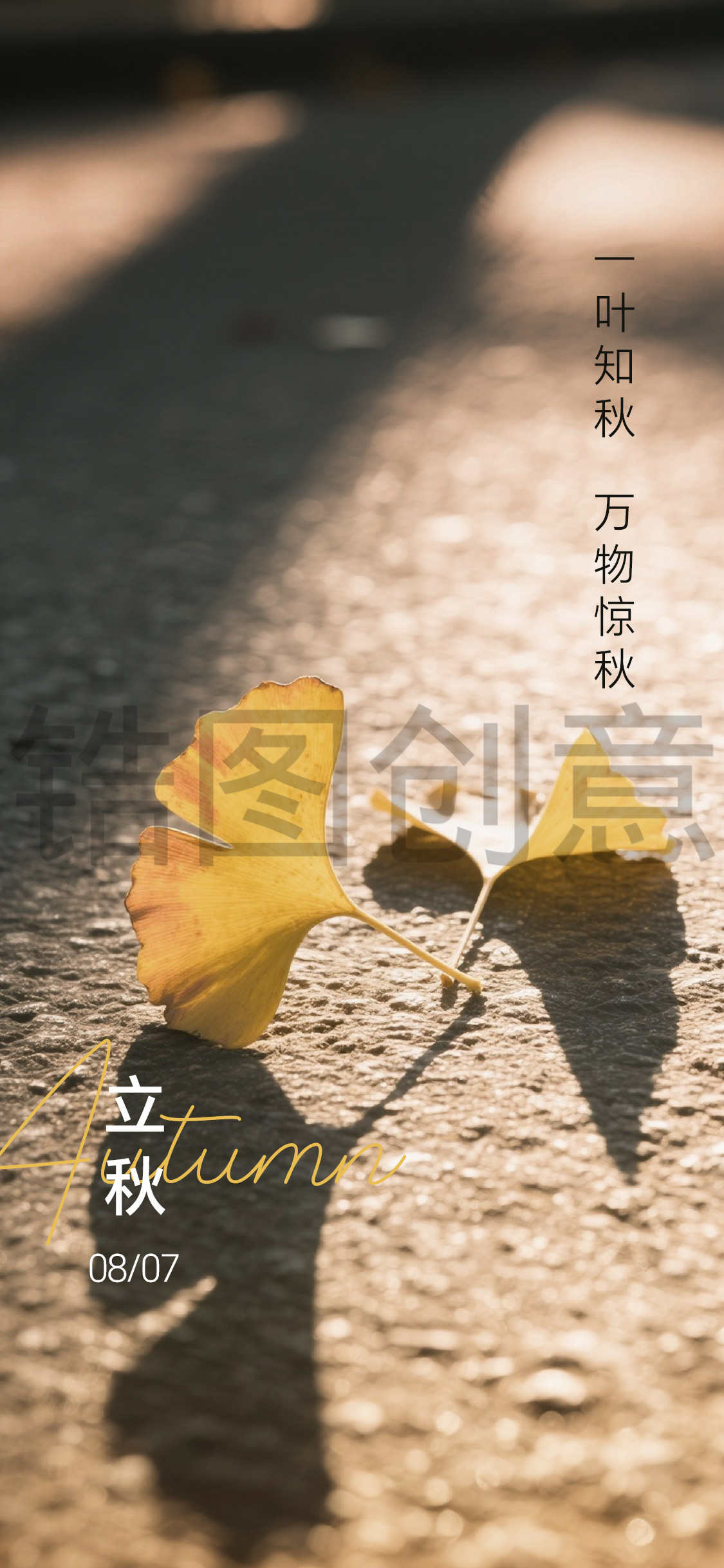 秋分立秋节气海报