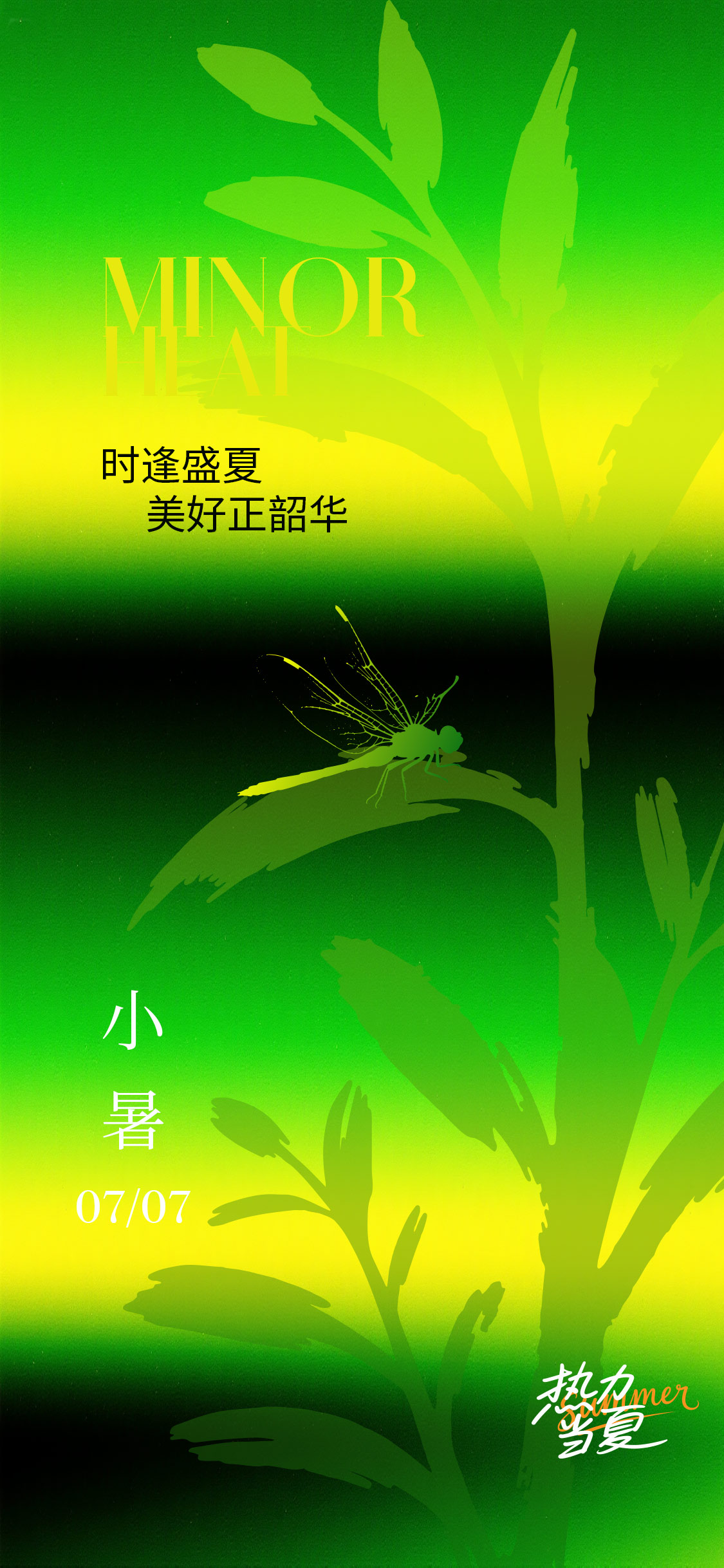 夏日小暑大暑节气海报