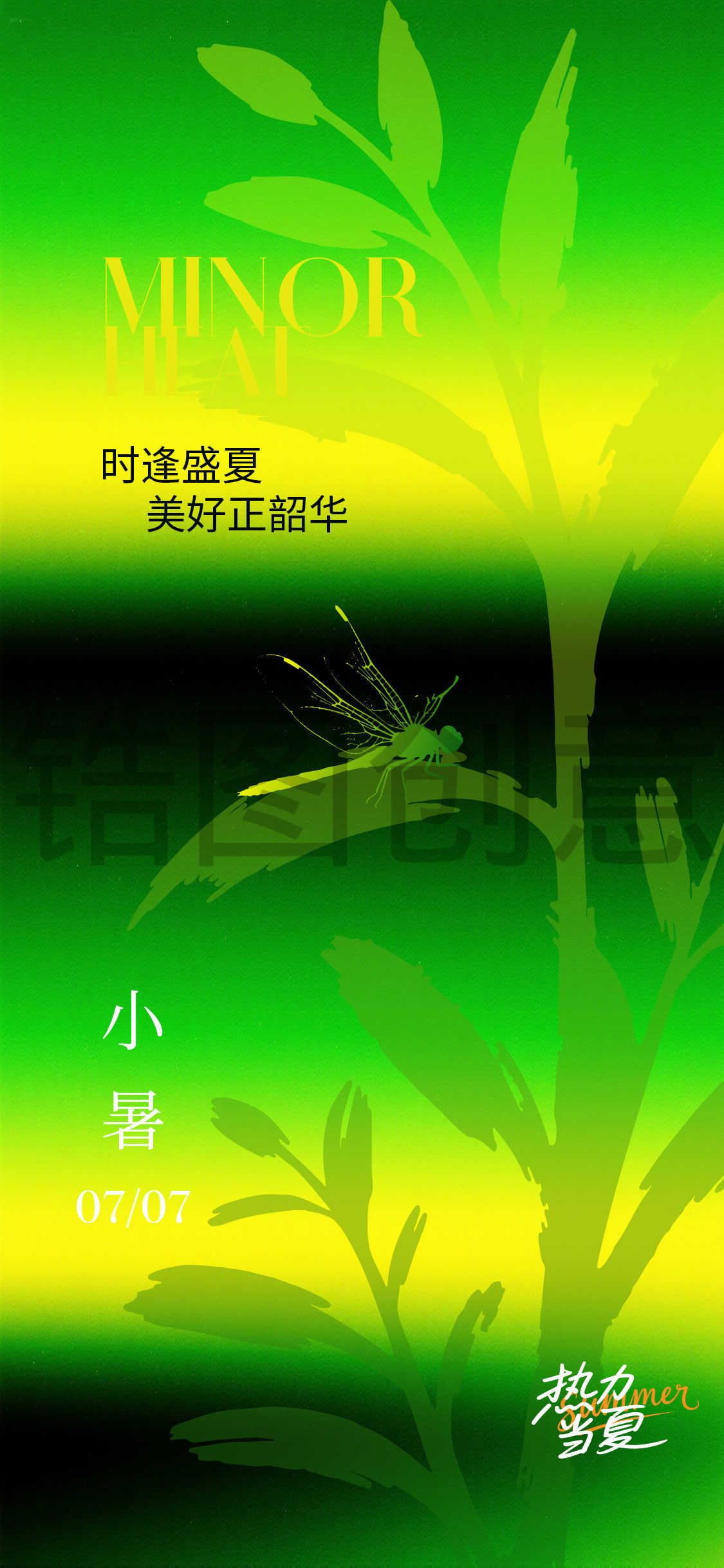 夏日小暑大暑节气海报