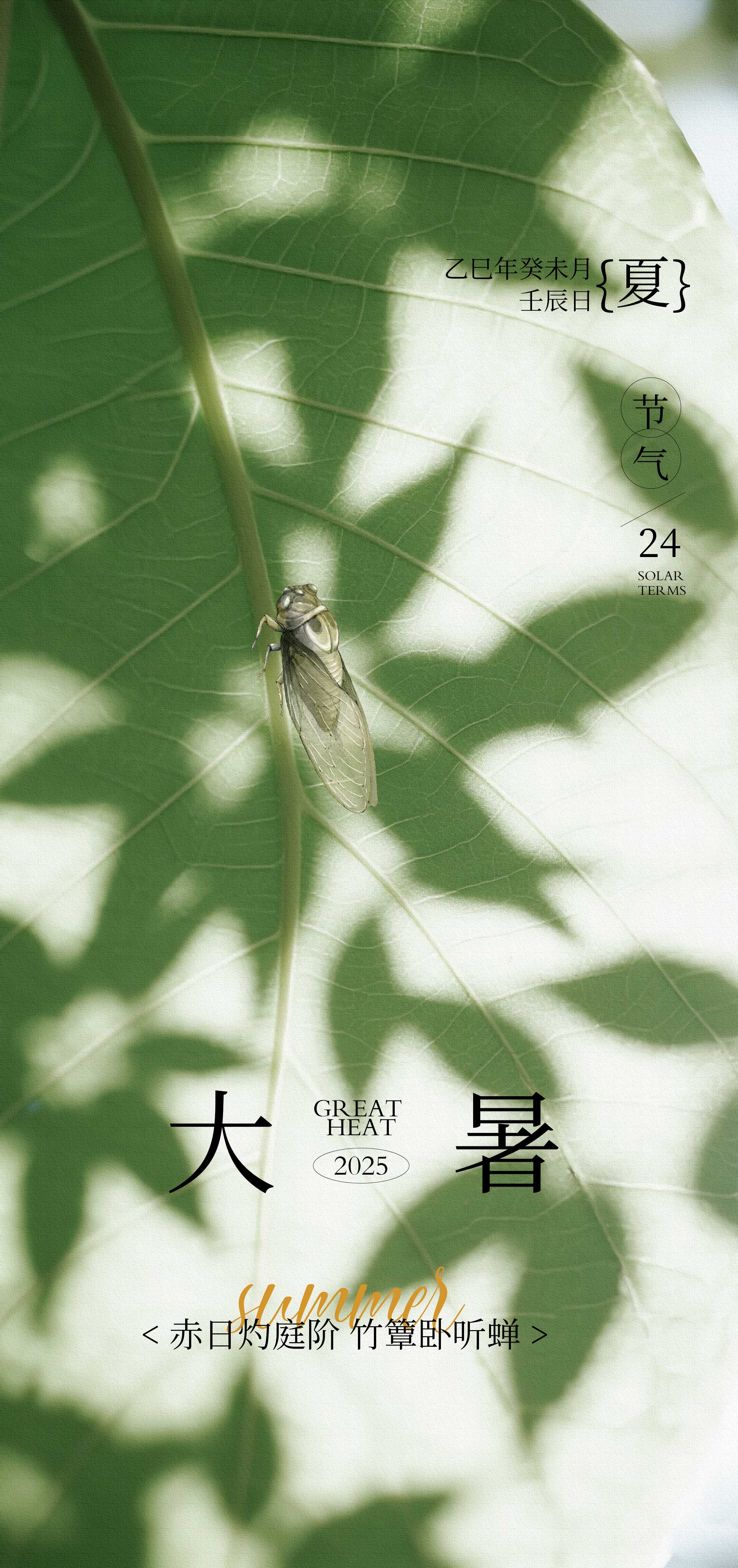 夏季大暑小暑夏至节气海报