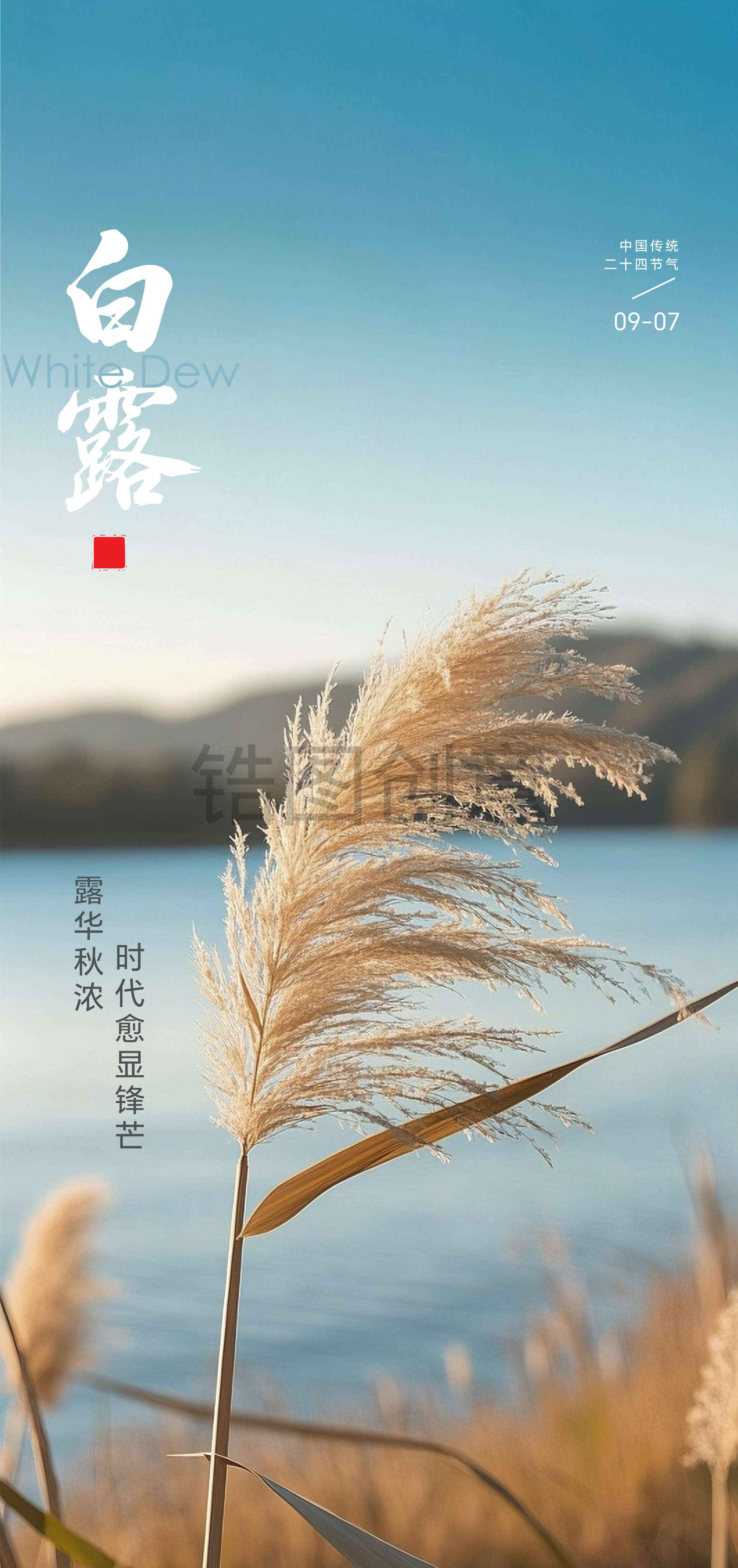 寒露白露节气海报