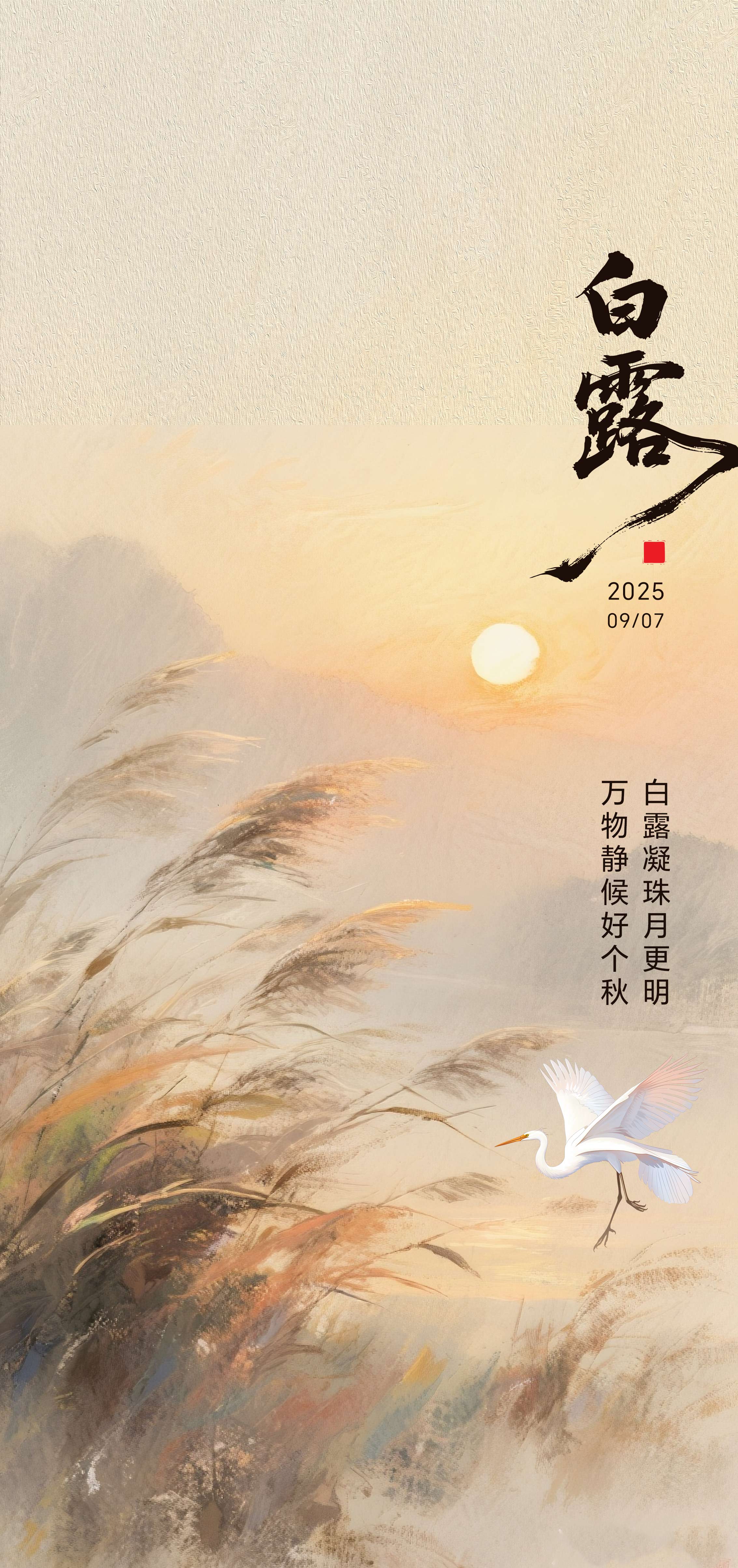 白露霜降节气海报
