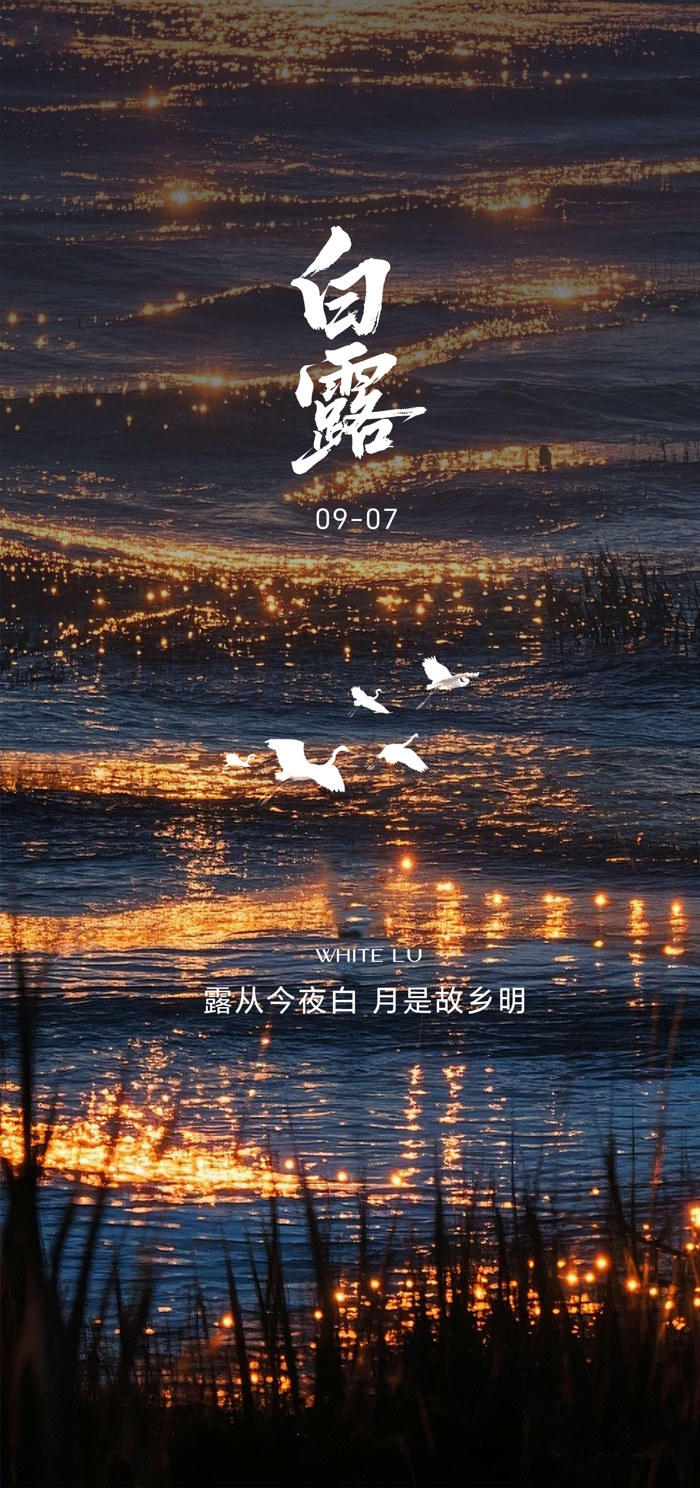 白露寒露霜降节气海报