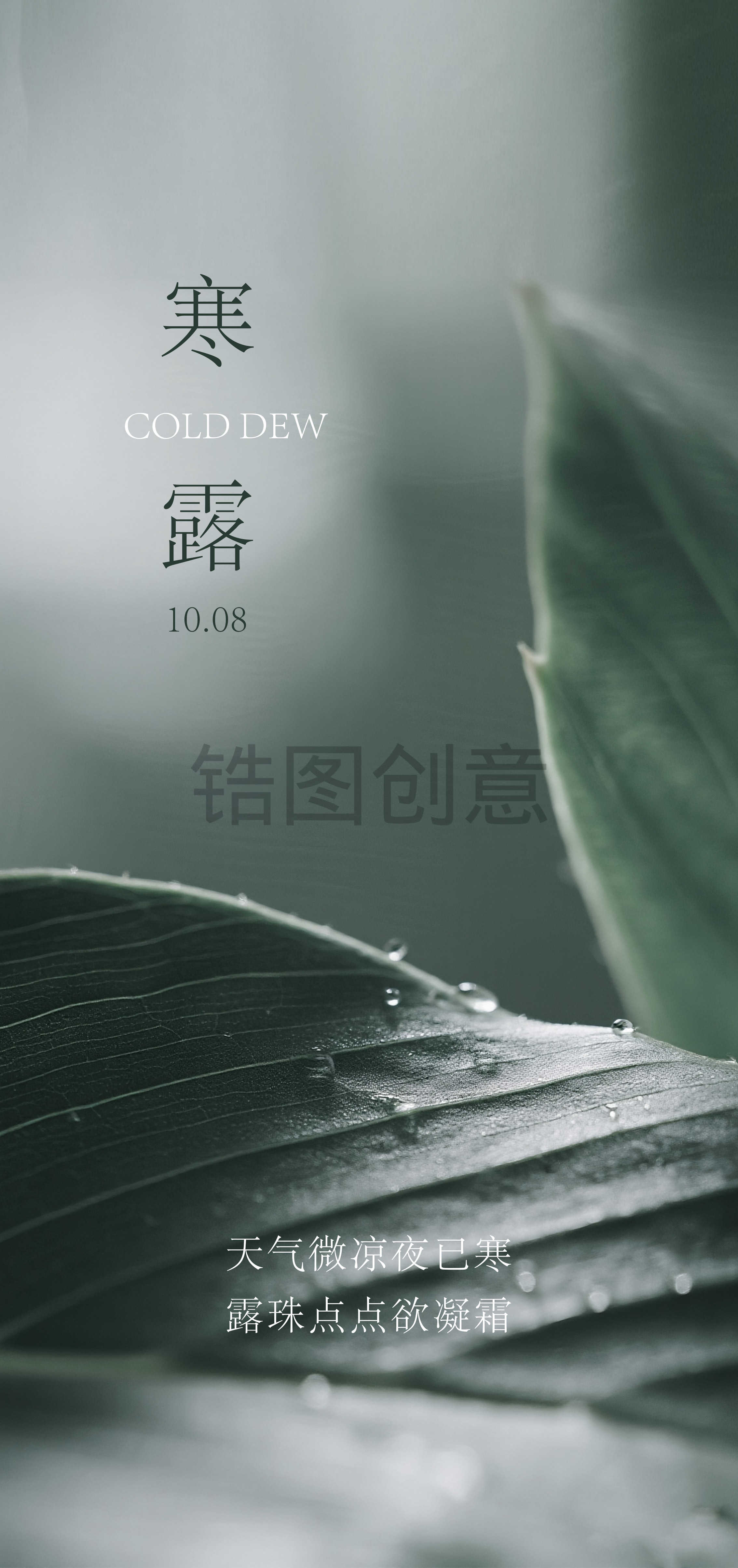 寒露霜降节气海报