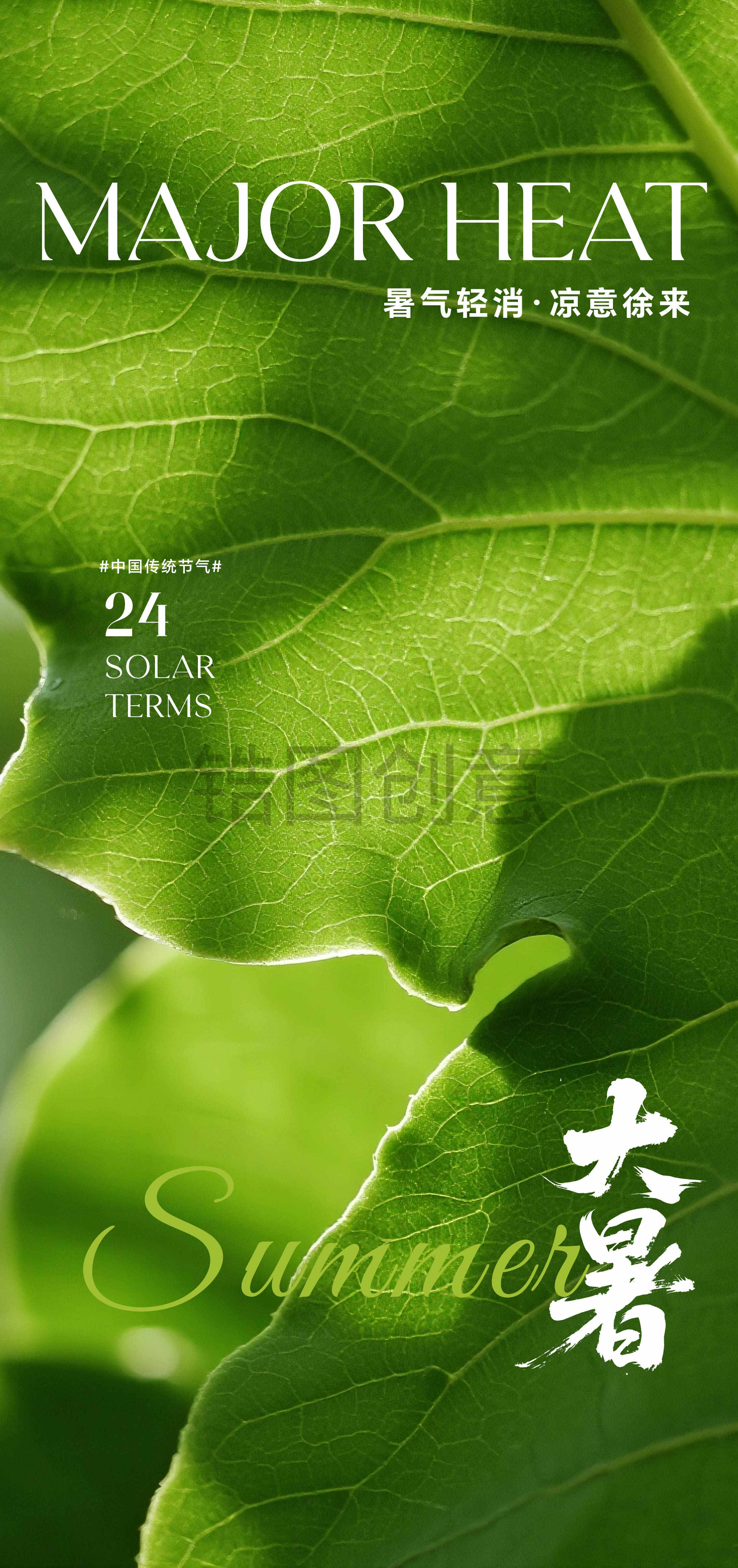 大暑小暑夏至节气海报