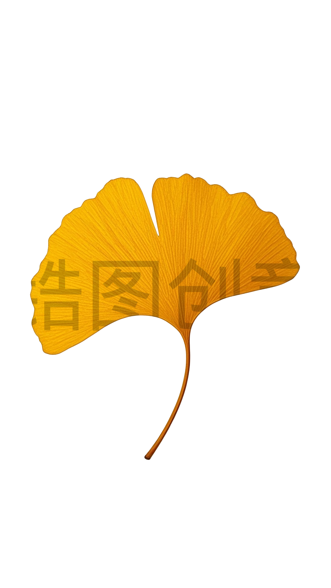 一片黄色银杏树叶元素