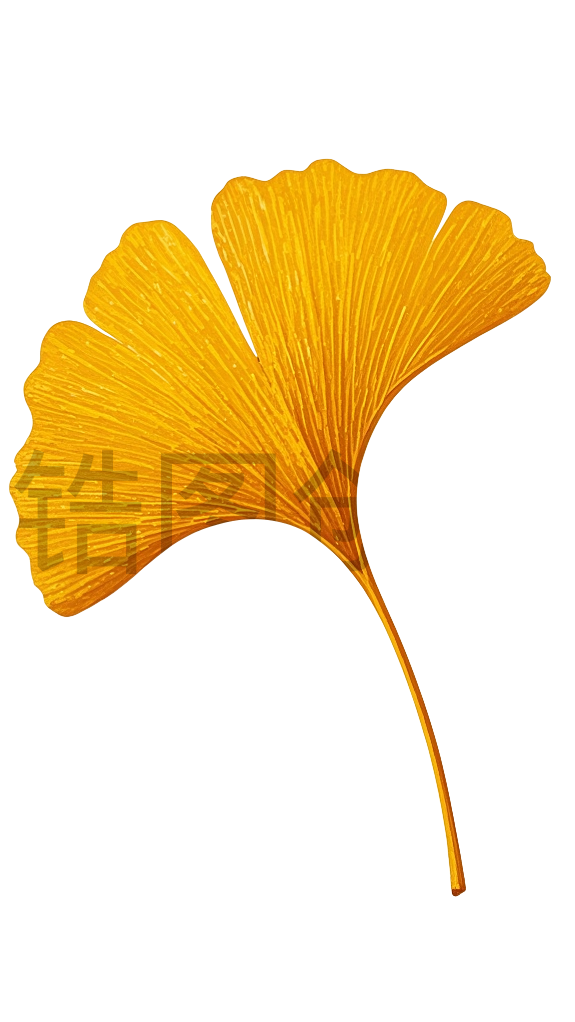 一片黄色银杏树叶元素