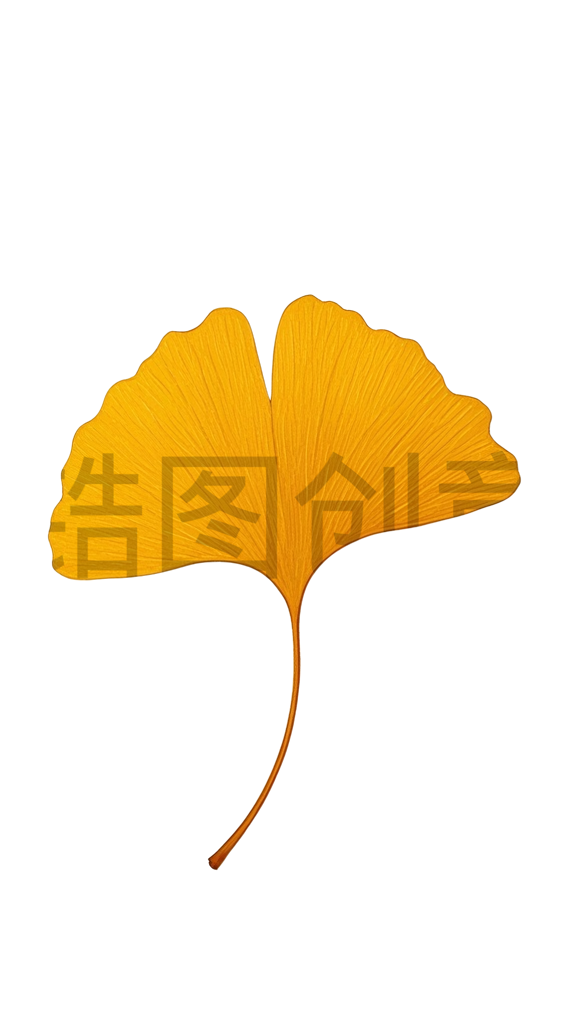 一片黄色银杏树叶元素