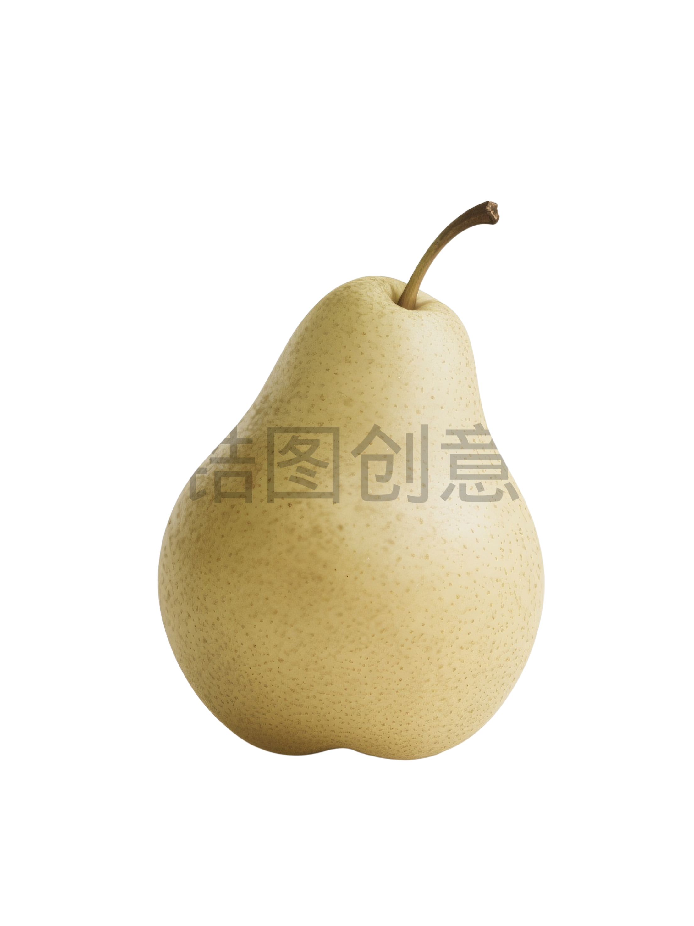 雪梨元素