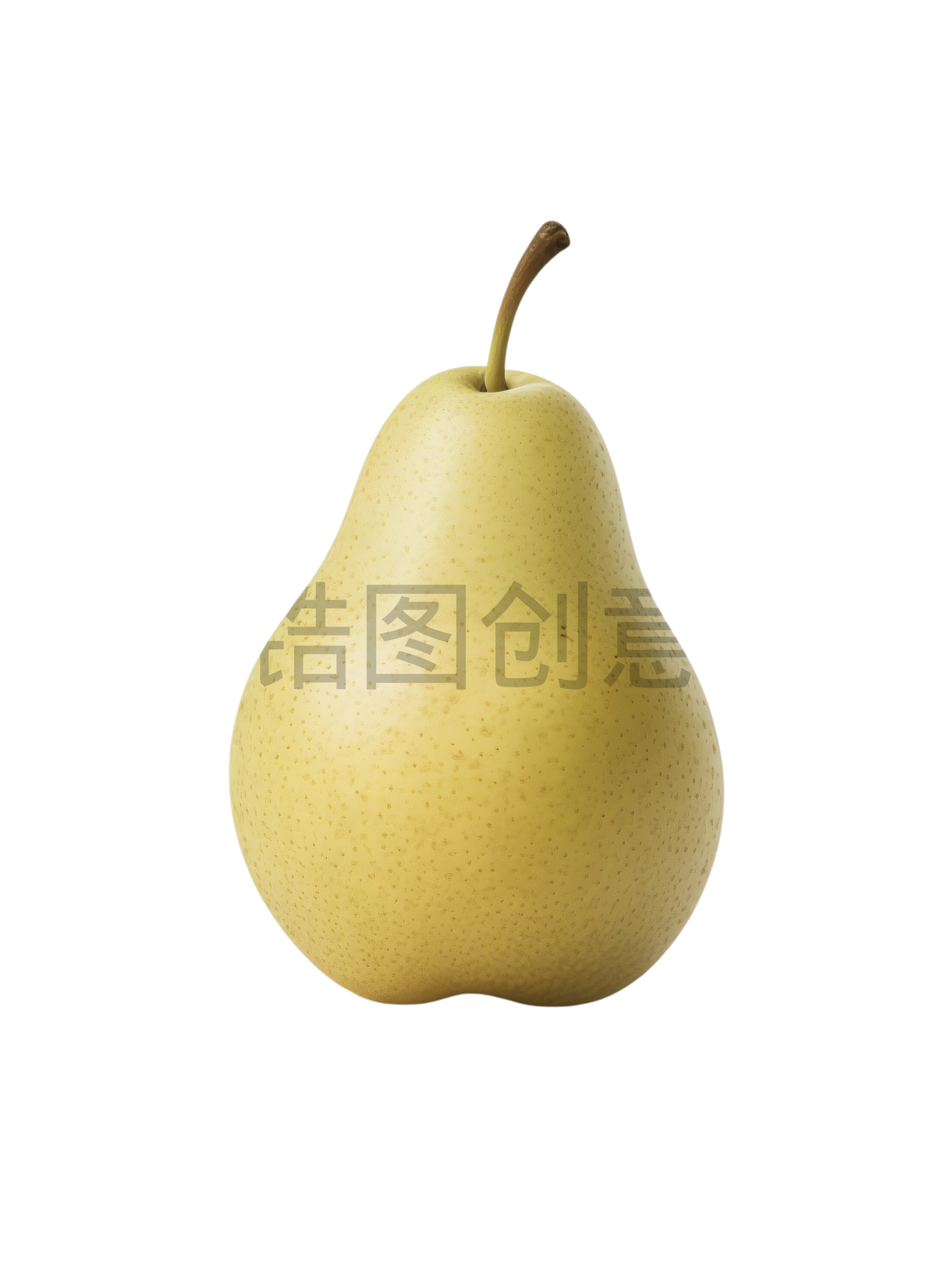 雪梨元素