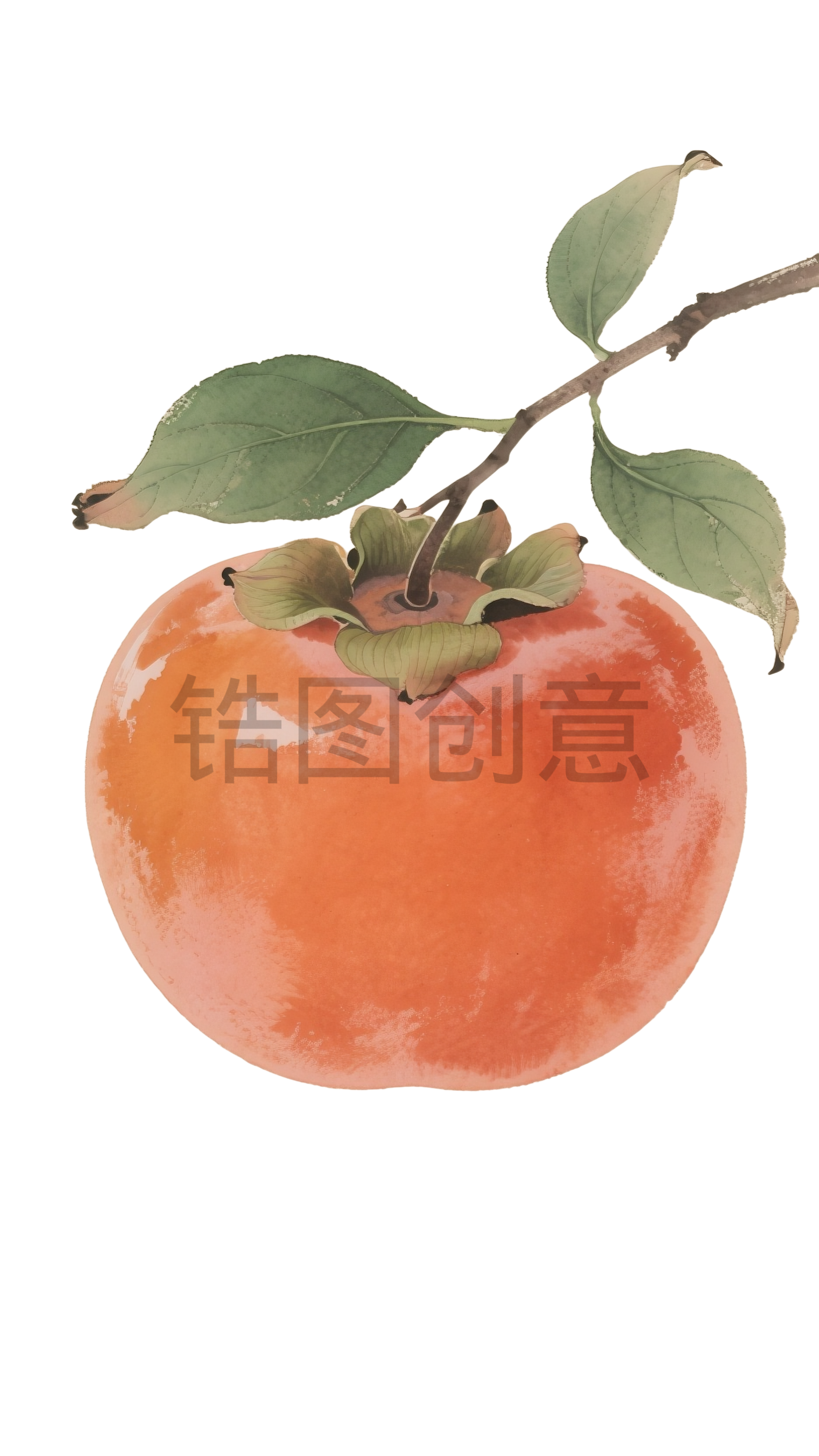 彩绘柿子元素