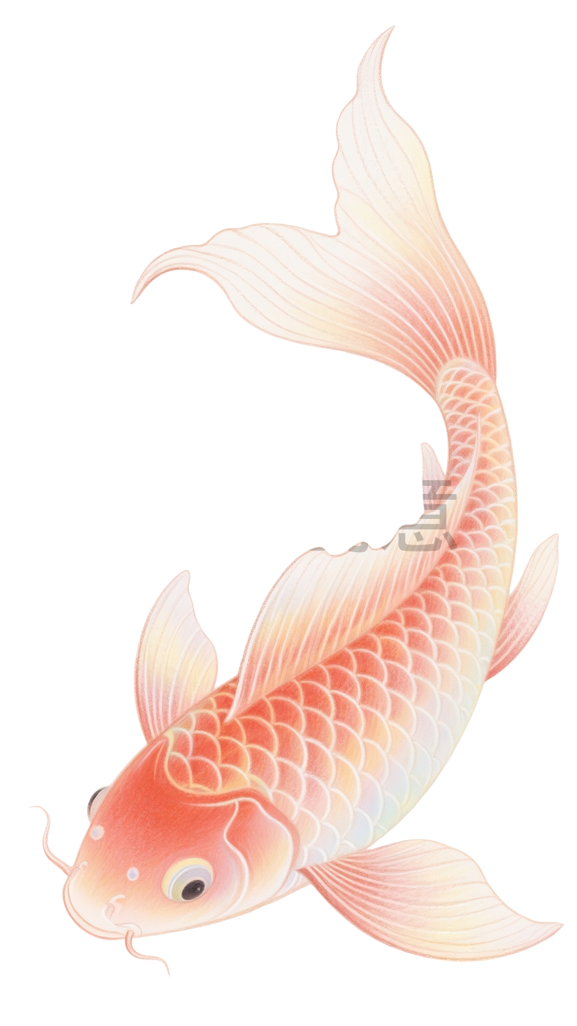 动物系列鲤鱼元素