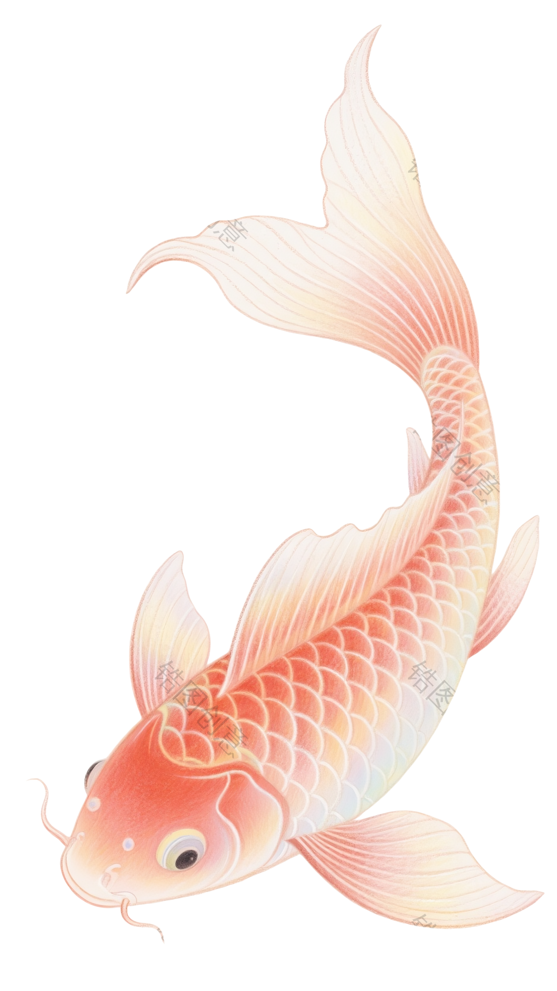 动物系列鲤鱼元素