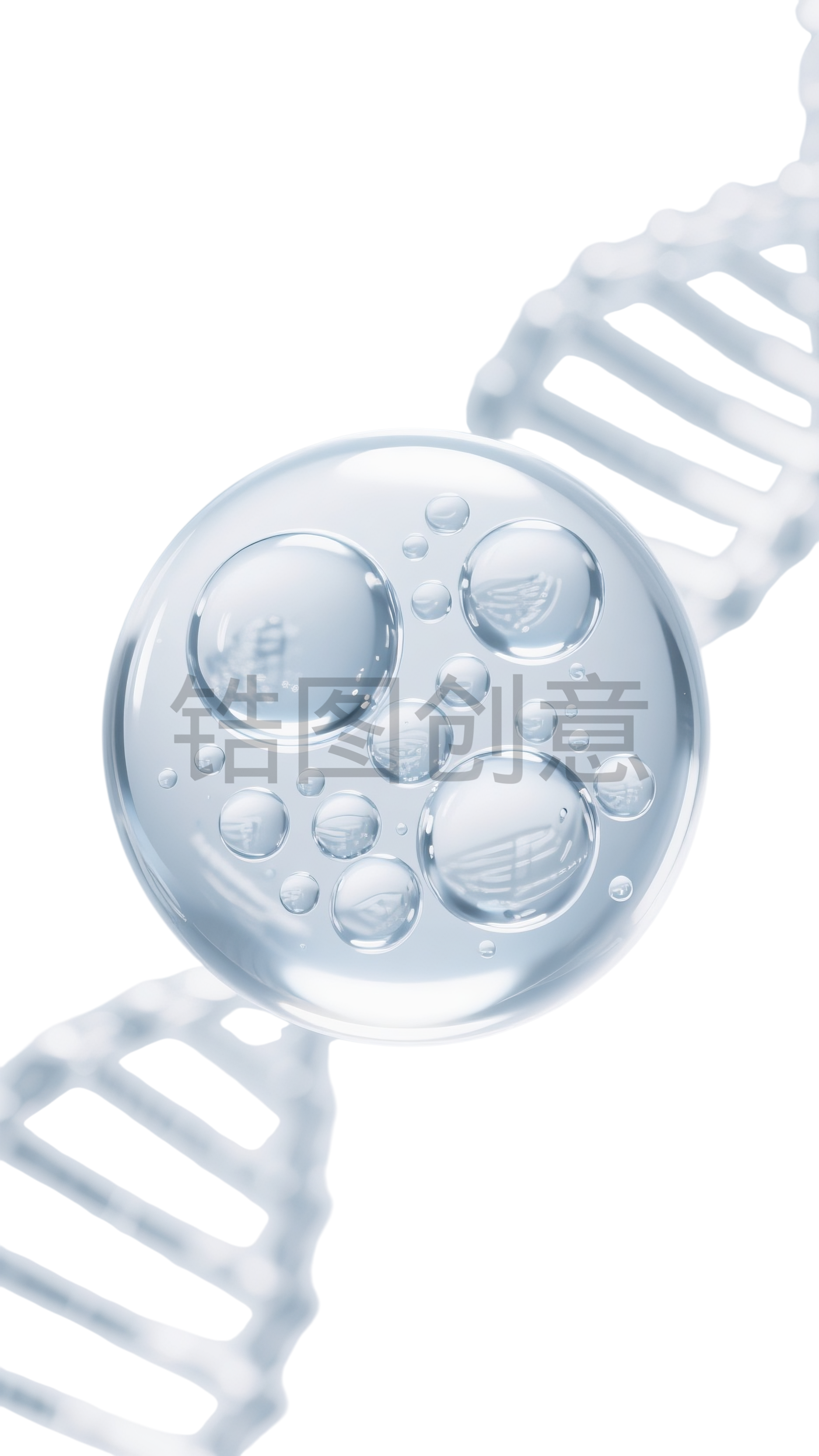 透明水珠 发酵精华元素