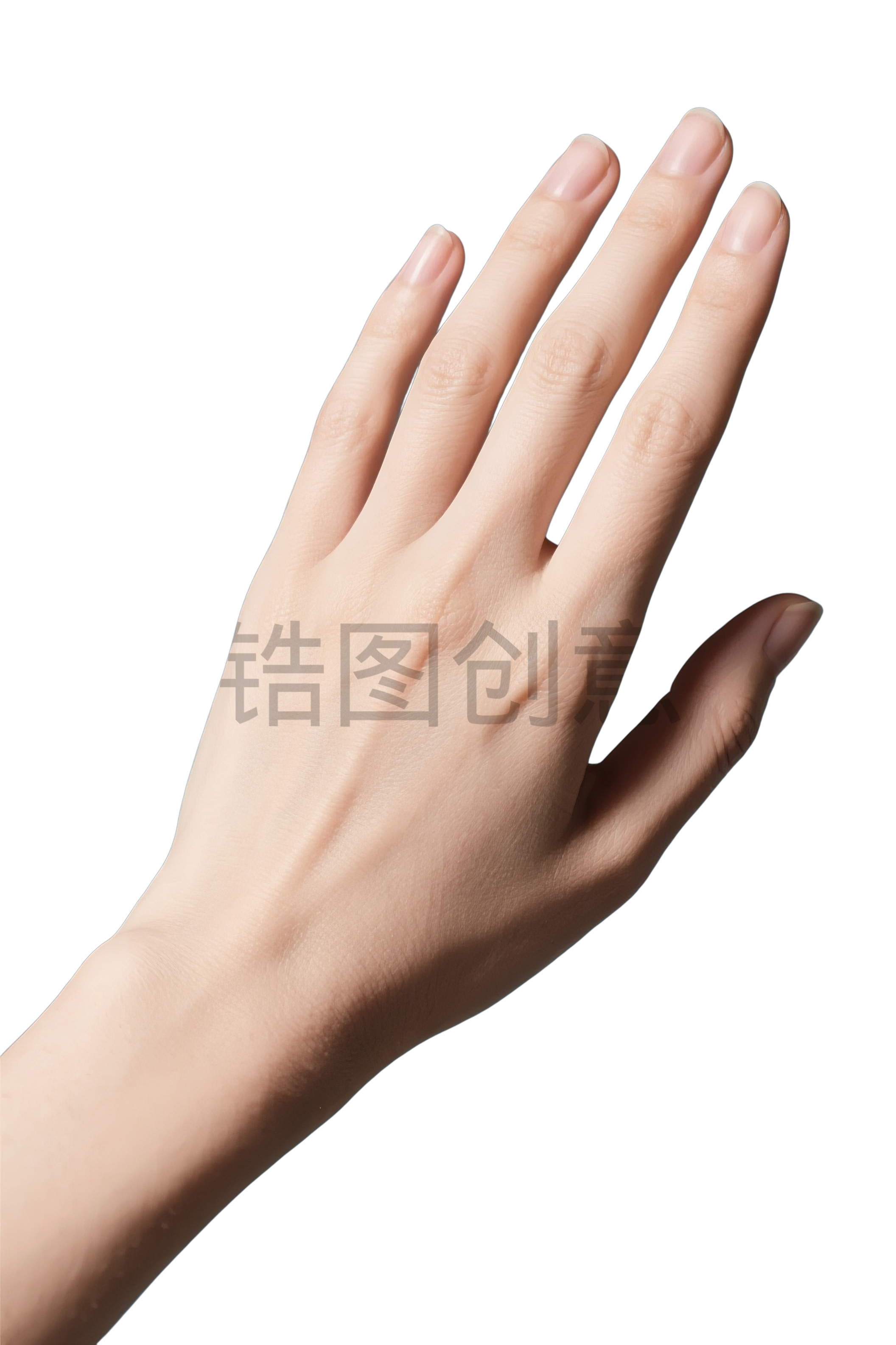 人体部位系列写实感手势手手模元素