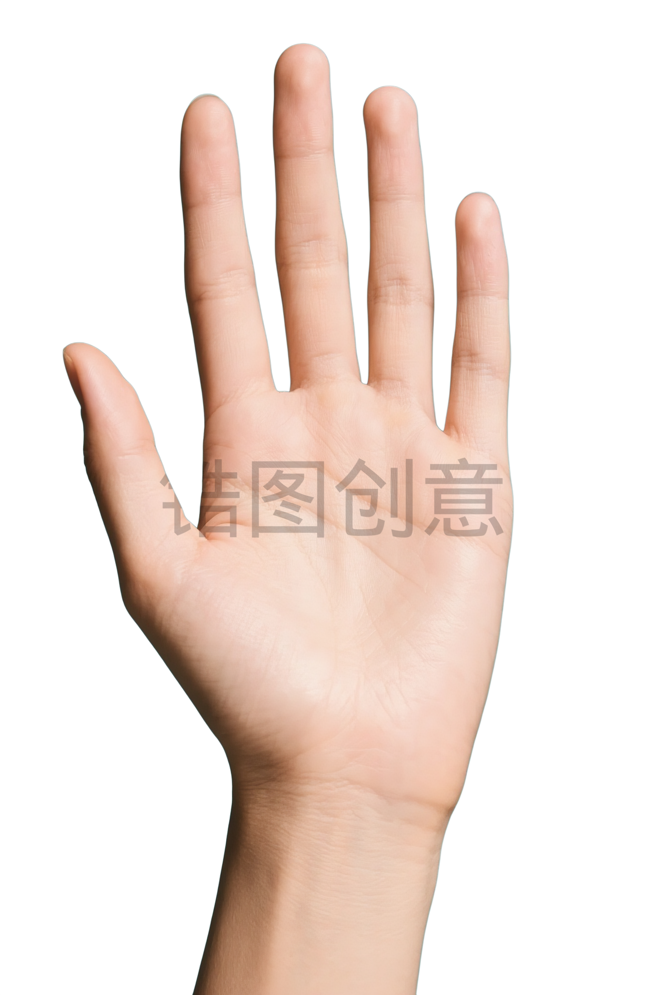 人体部位系列写实感手势手手模元素