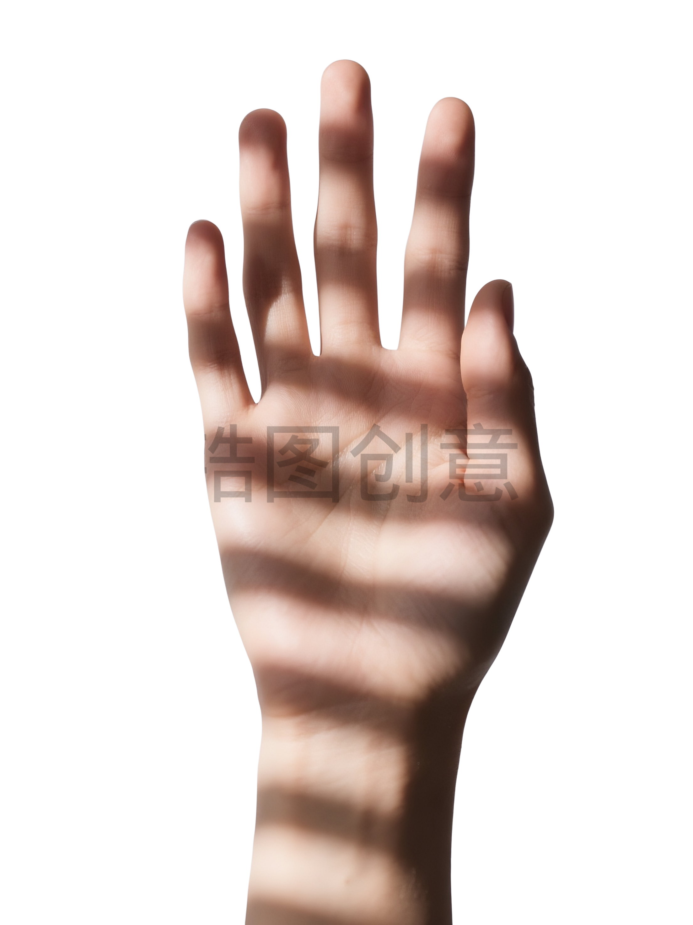 人体部位系列写实感手势手手模元素
