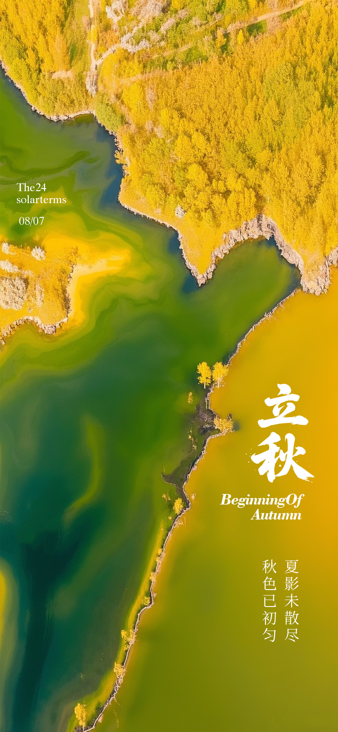 秋天立秋秋分秋季节气海报