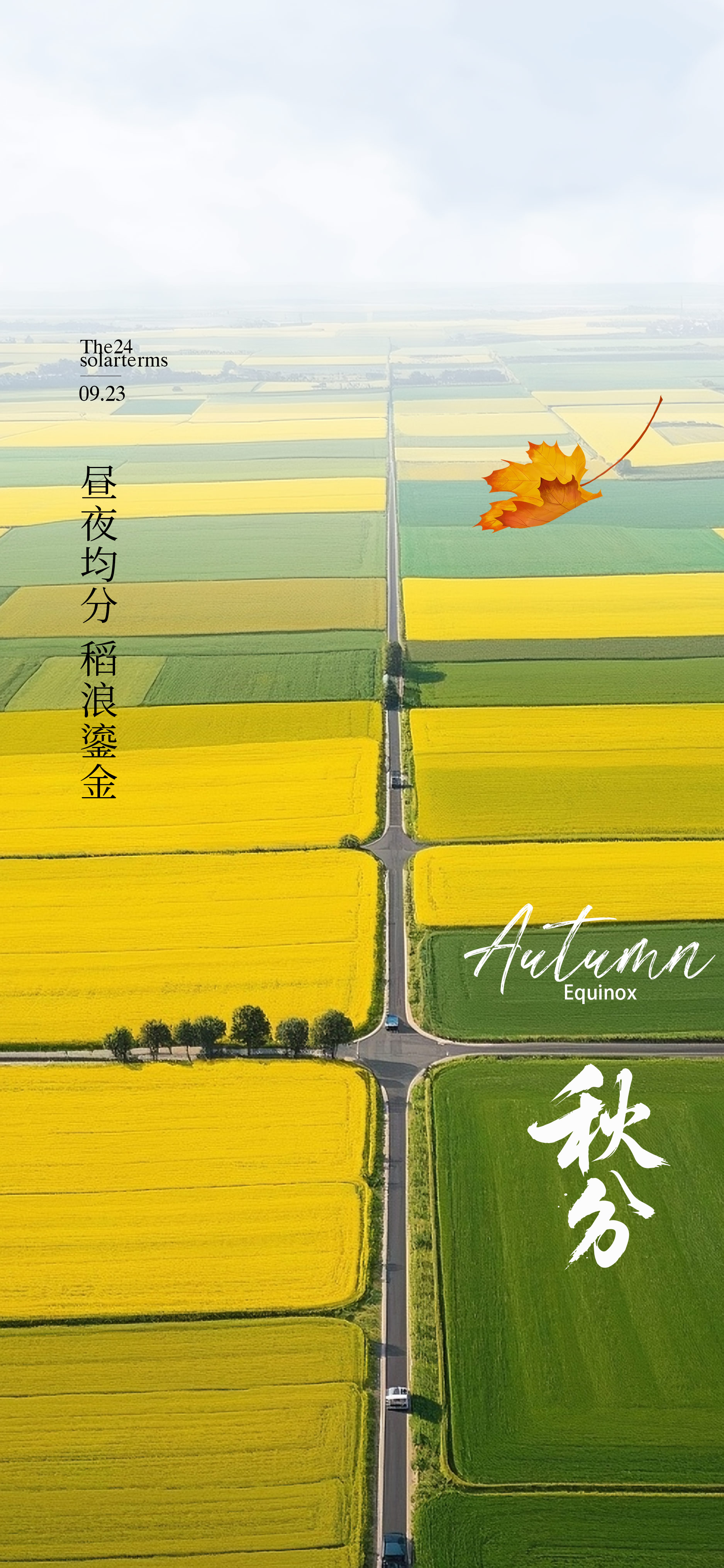 二十四节气秋分海报