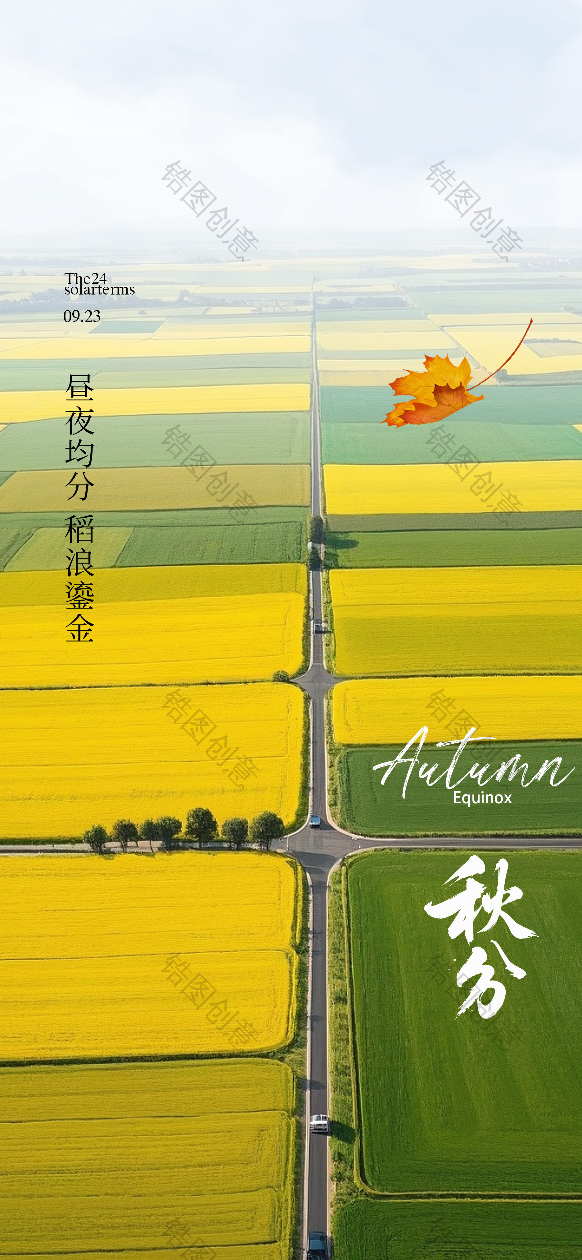 二十四节气秋分海报