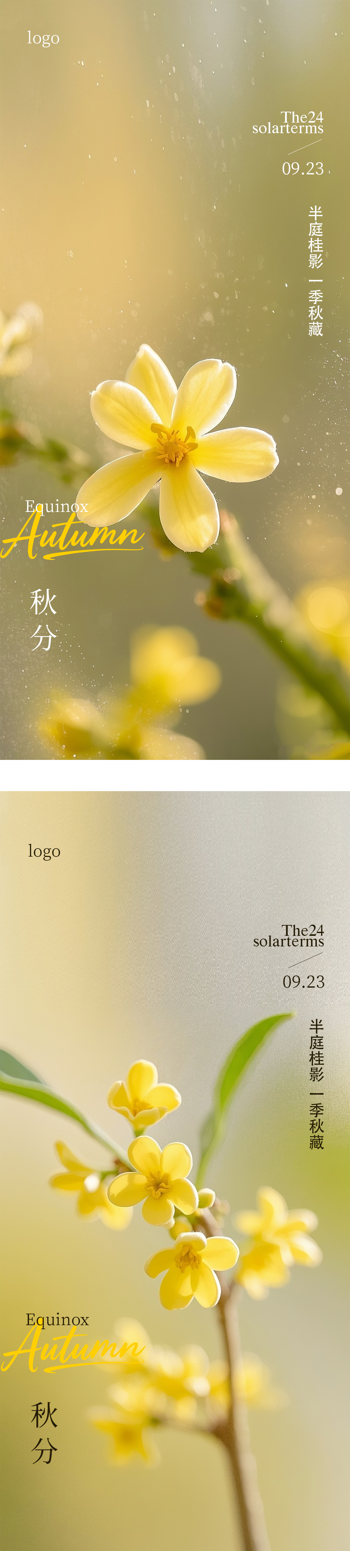秋分处暑节气海报