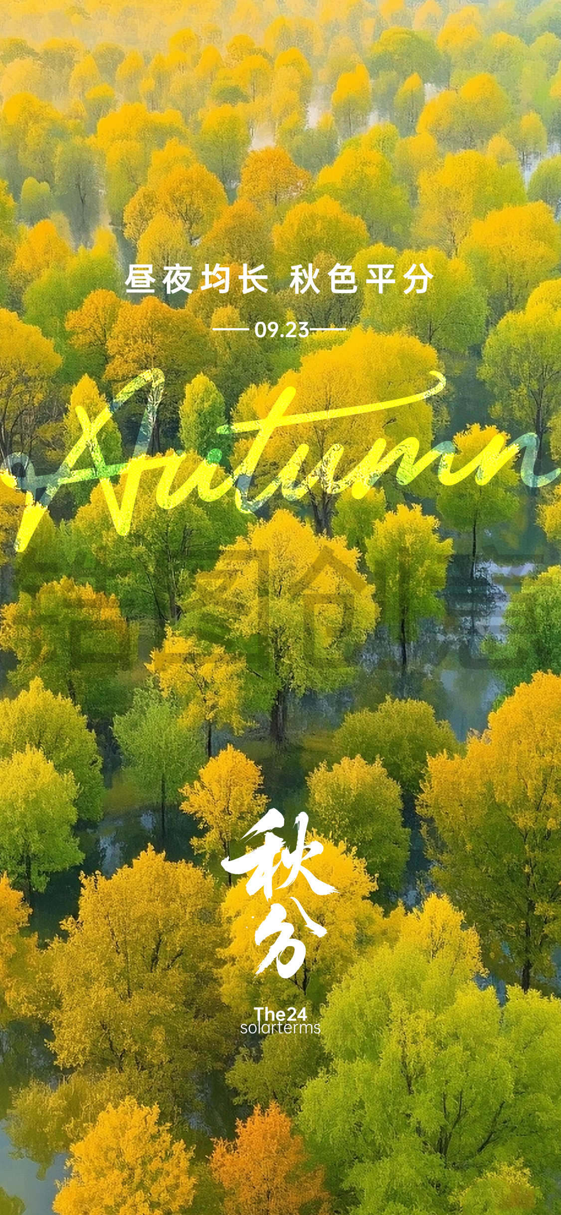 秋分处暑节气海报