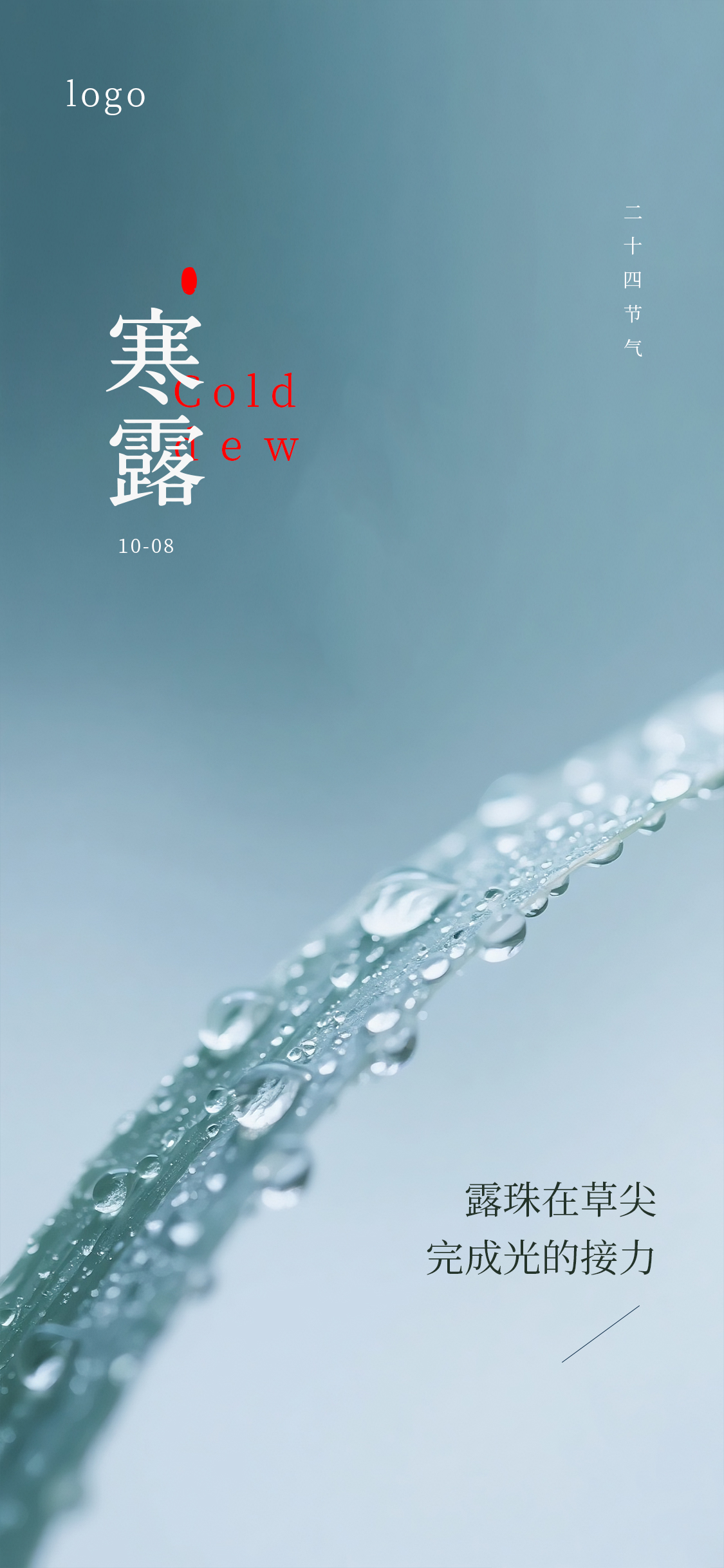 寒露节气海报