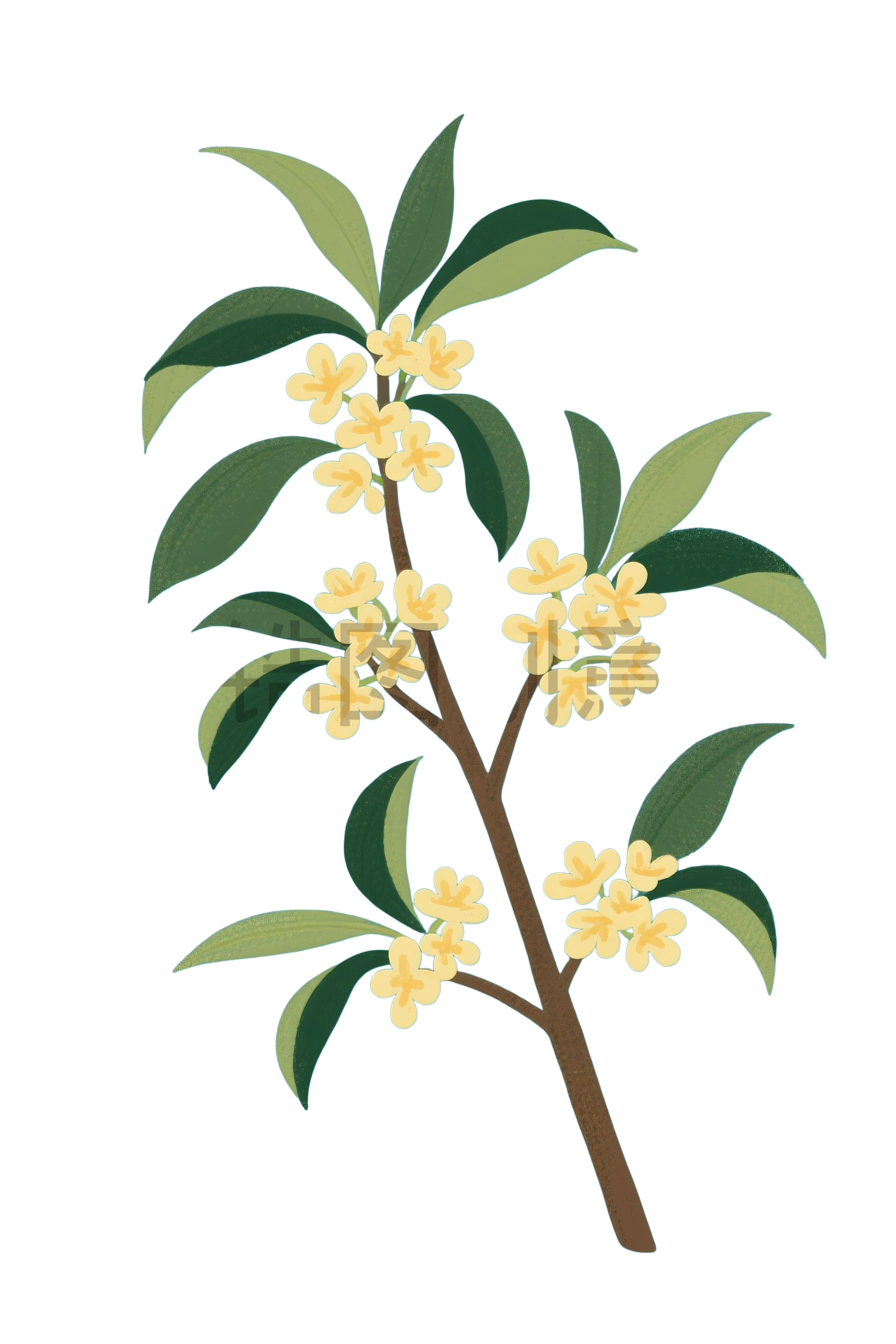 桂花花枝元素