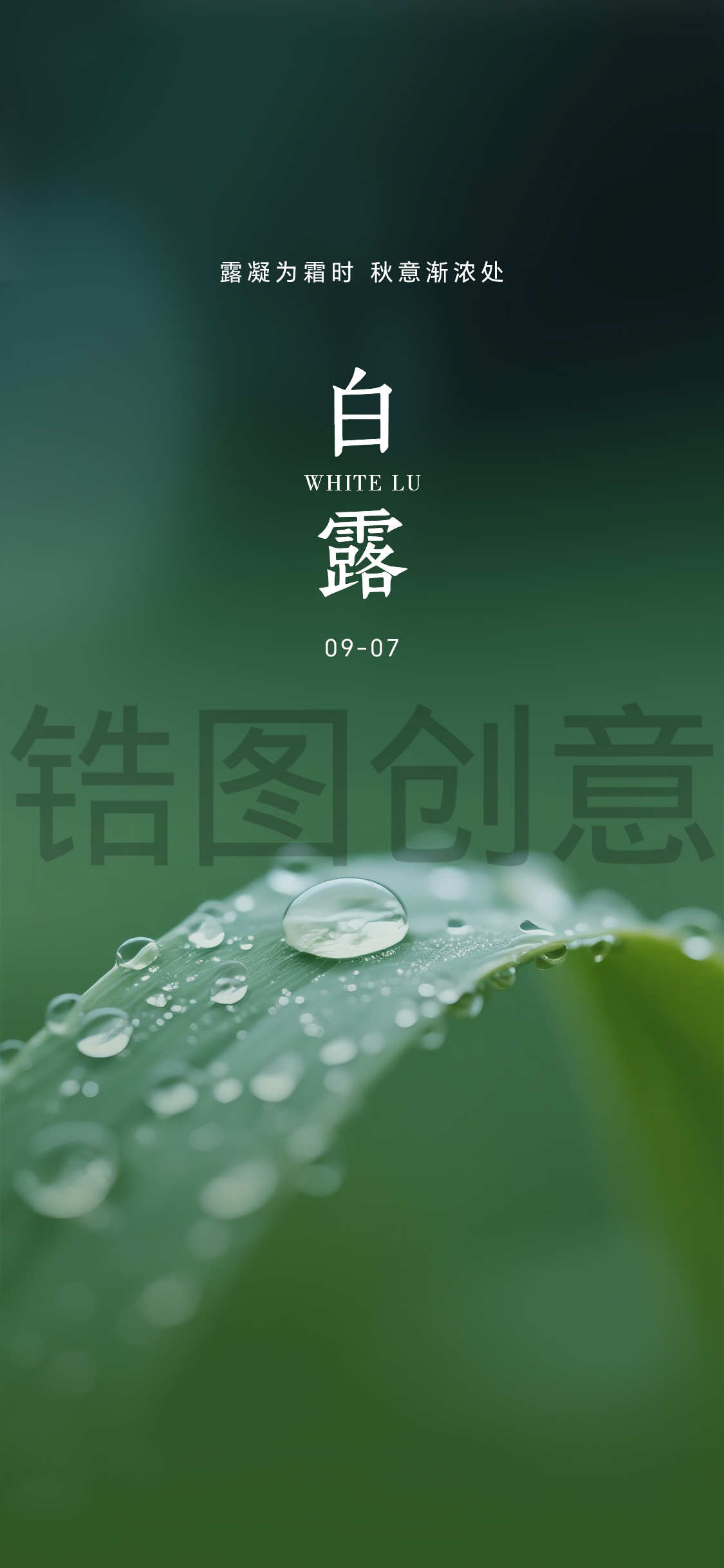 白露寒露节气海报
