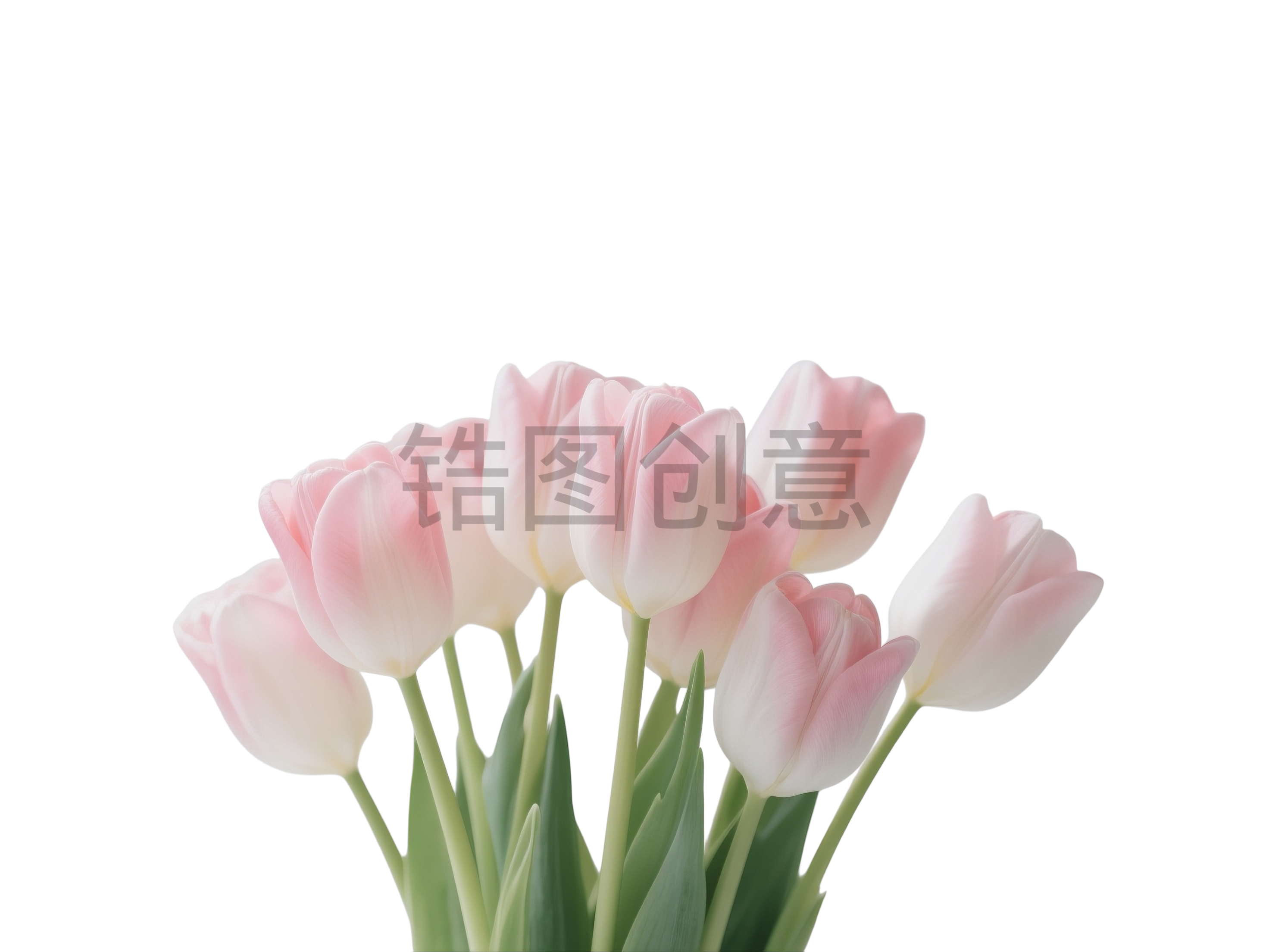 植物系列郁金香花元素