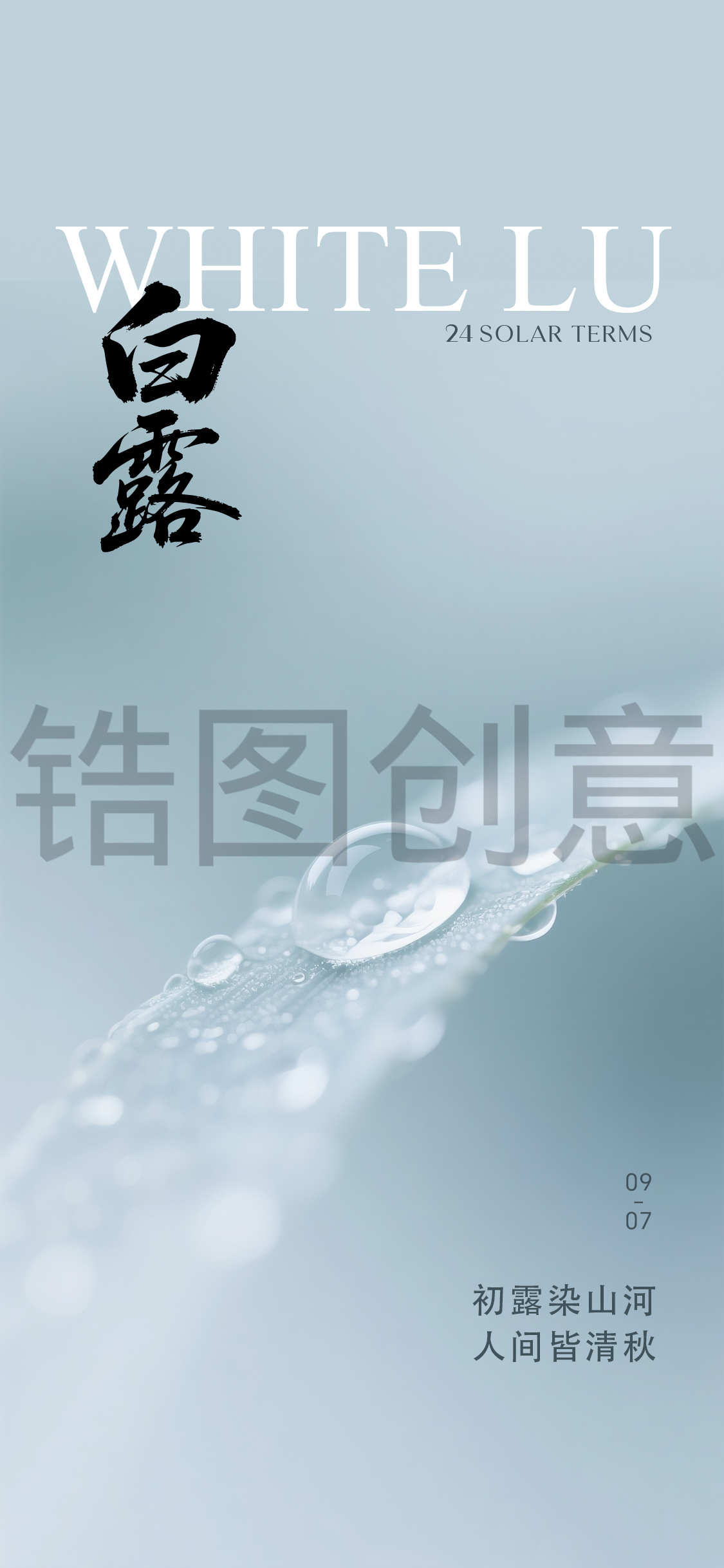 白露寒露简约节气海报