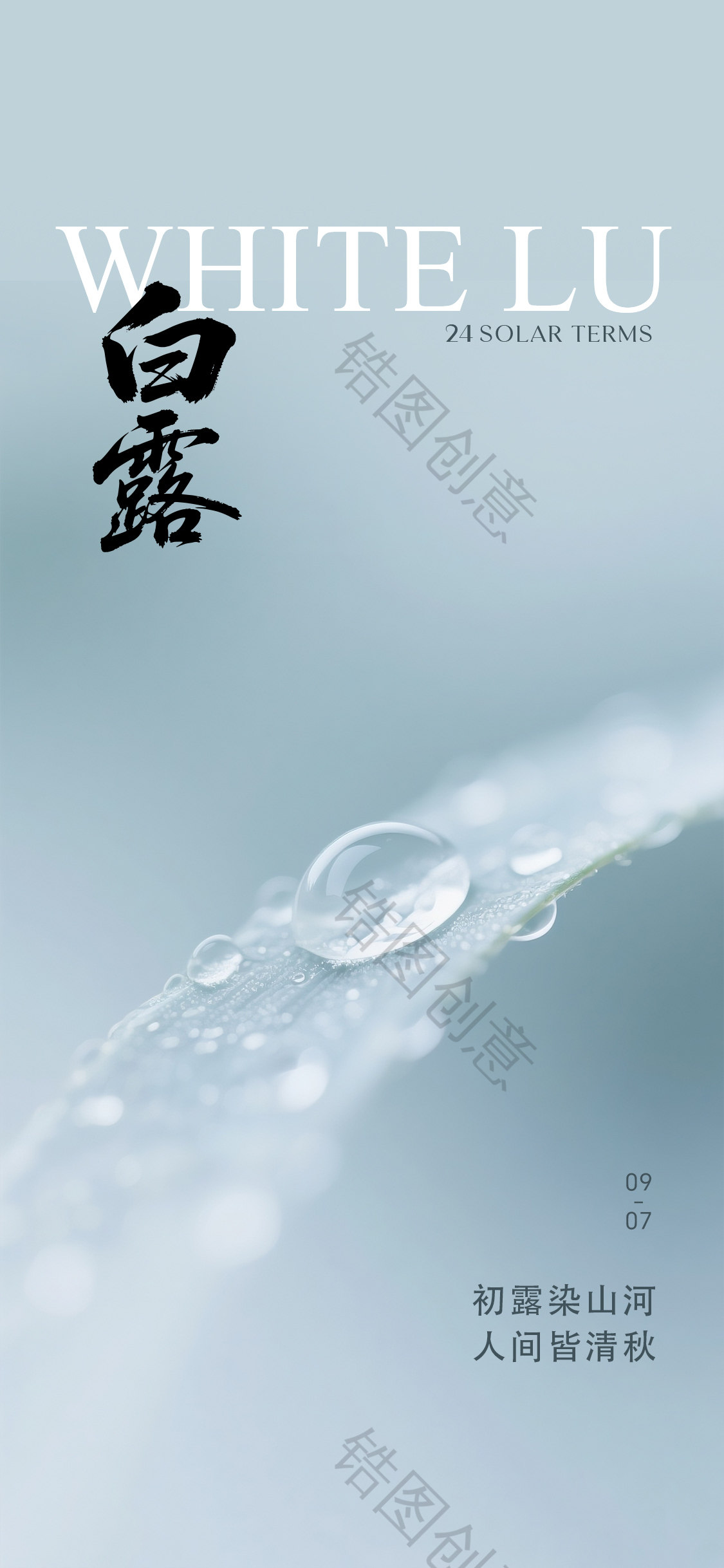 白露寒露简约节气海报